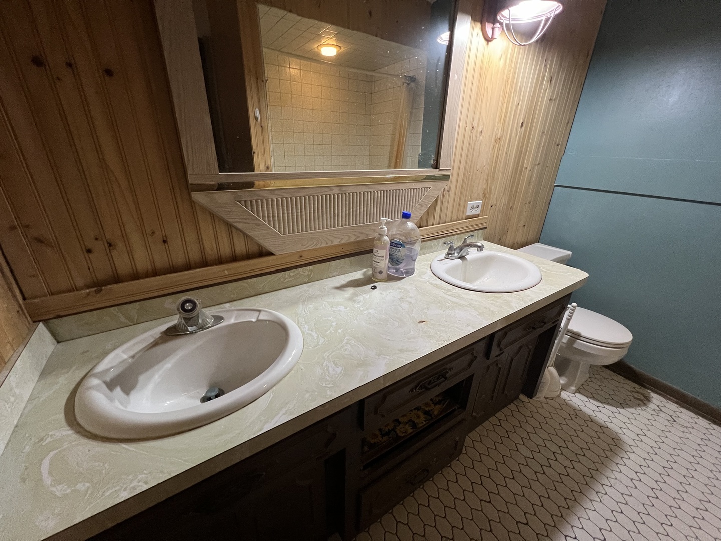 2957 East Kentucky Road Beecher, IL 60401 - Photo 9 of 22 a bathroom with a double vanity sink and a mirror