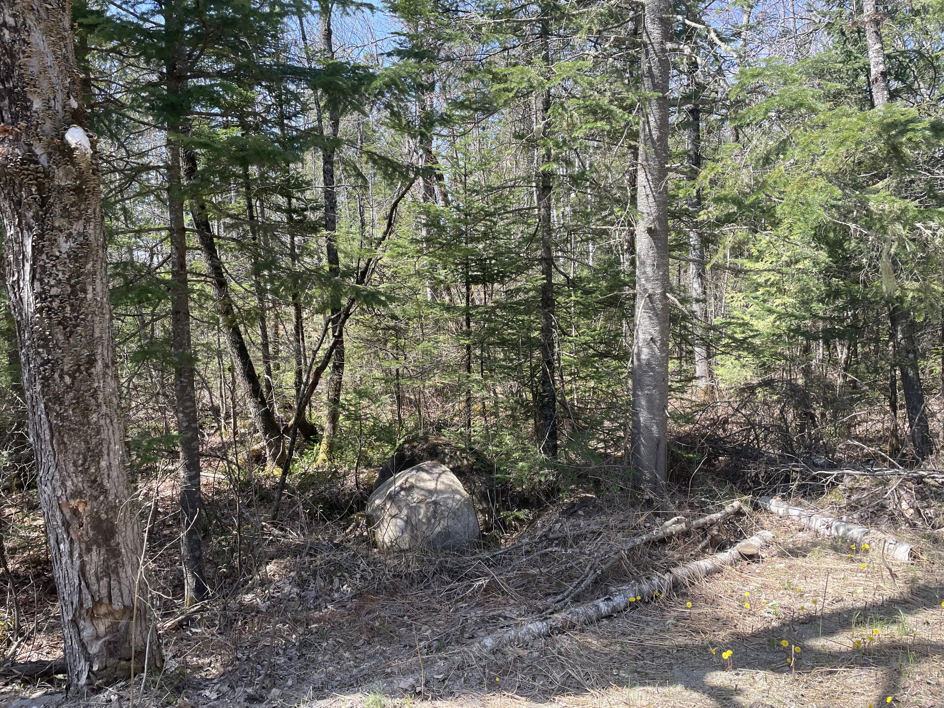 172 East Madrid Road Phillips, ME 04966 - Photo 5 of 10 IMG_1414