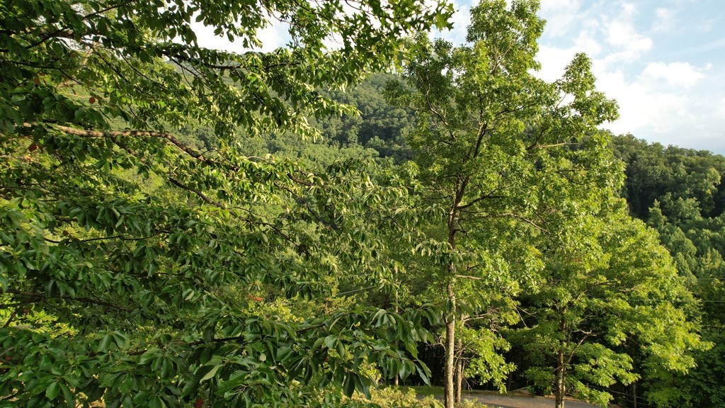 0 Trapper John Way Sevierville, TN 37862 - Photo 9 of 18