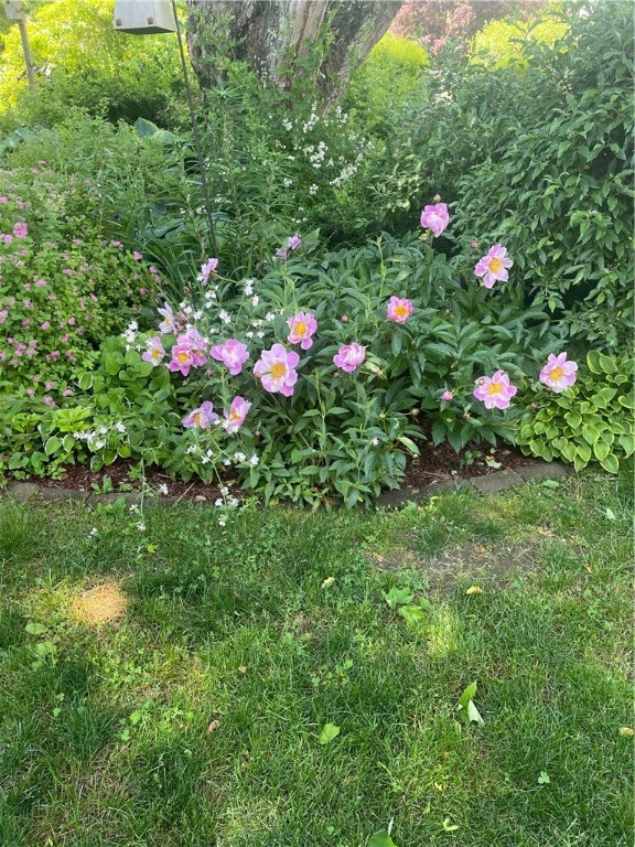 10 Champion Street Westerly, RI 02891 - Photo 47 of 50