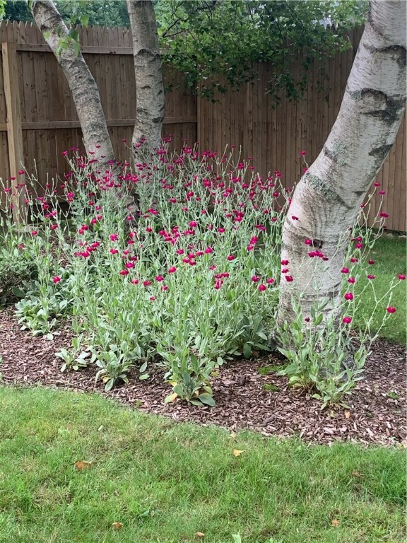 10 Champion Street Westerly, RI 02891 - Photo 48 of 50