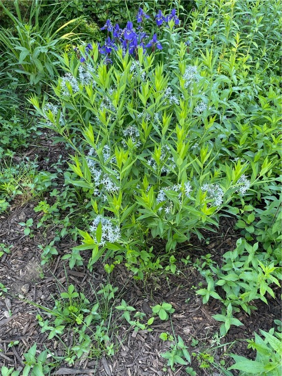 10 Champion Street Westerly, RI 02891 - Photo 49 of 50