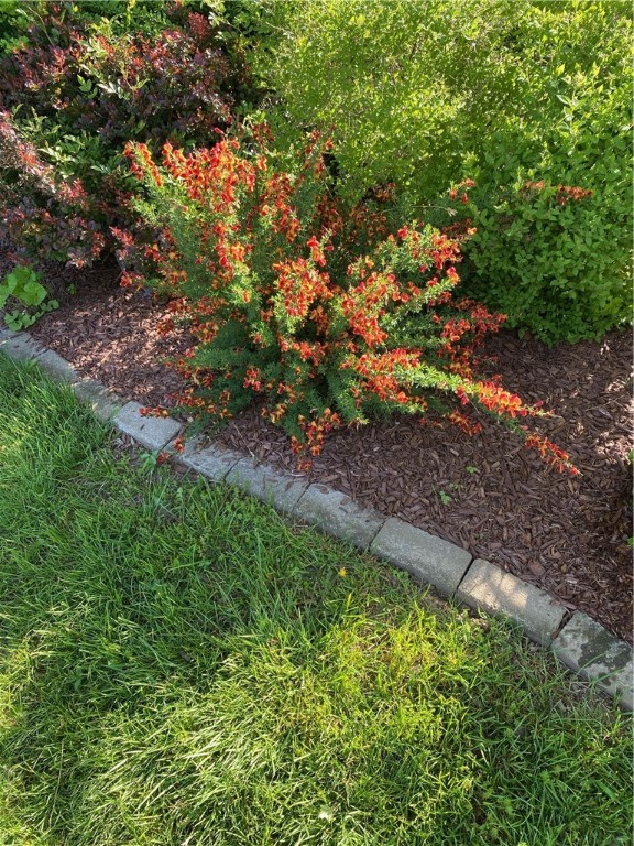 10 Champion Street Westerly, RI 02891 - Photo 50 of 50