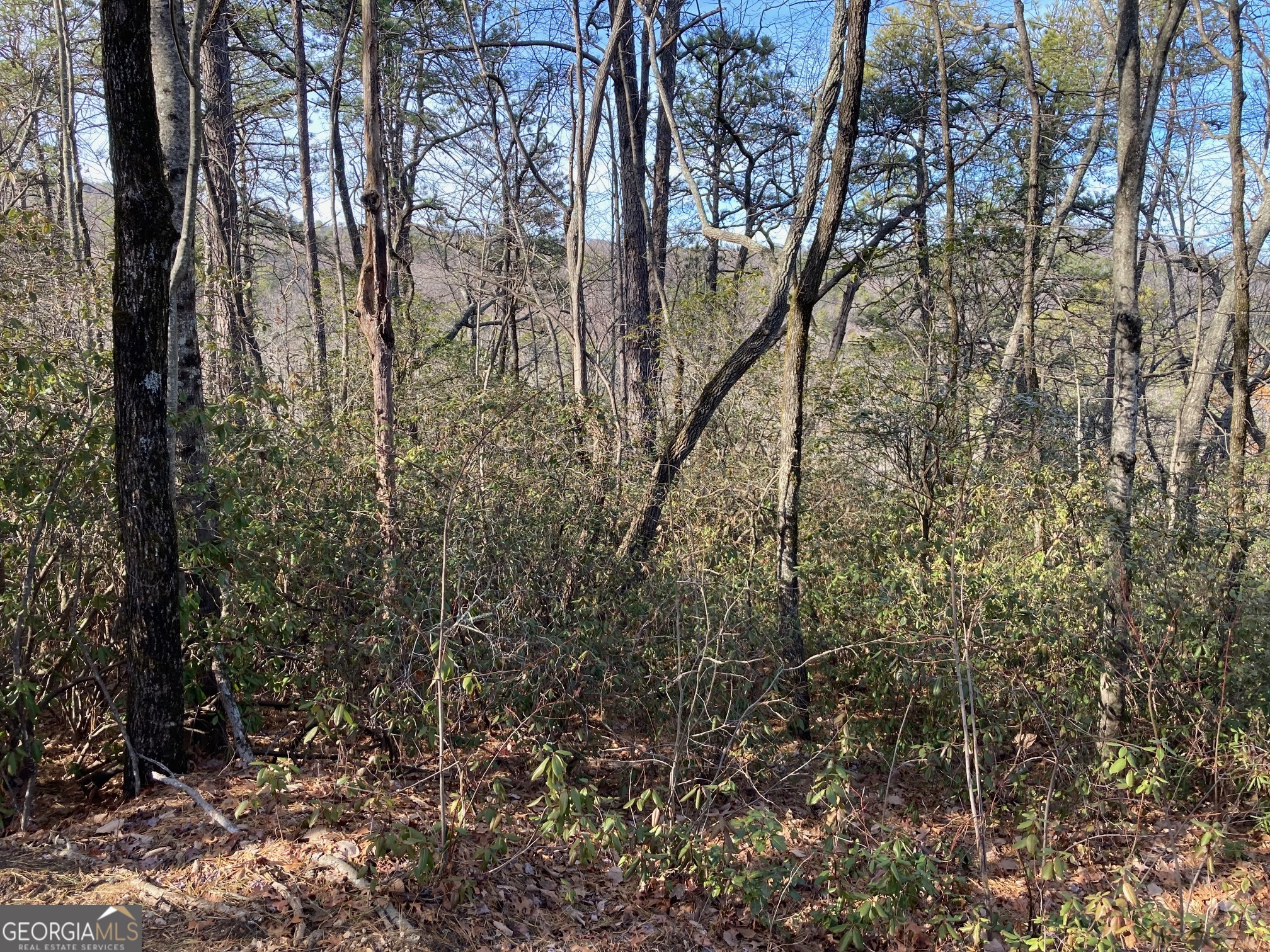 Lot 36 Whispering Dale Clarkesville, GA 30523 - Photo 2 of 10 a view of a forest