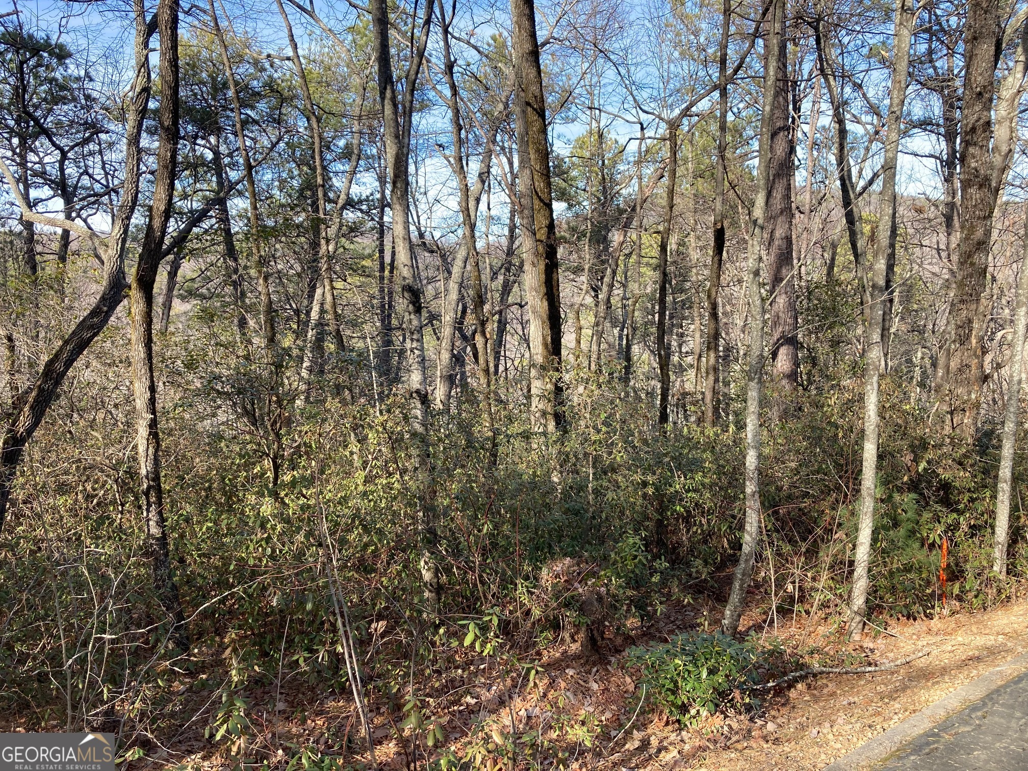 Lot 36 Whispering Dale Clarkesville, GA 30523 - Photo 3 of 10 a view of a yard with a tree