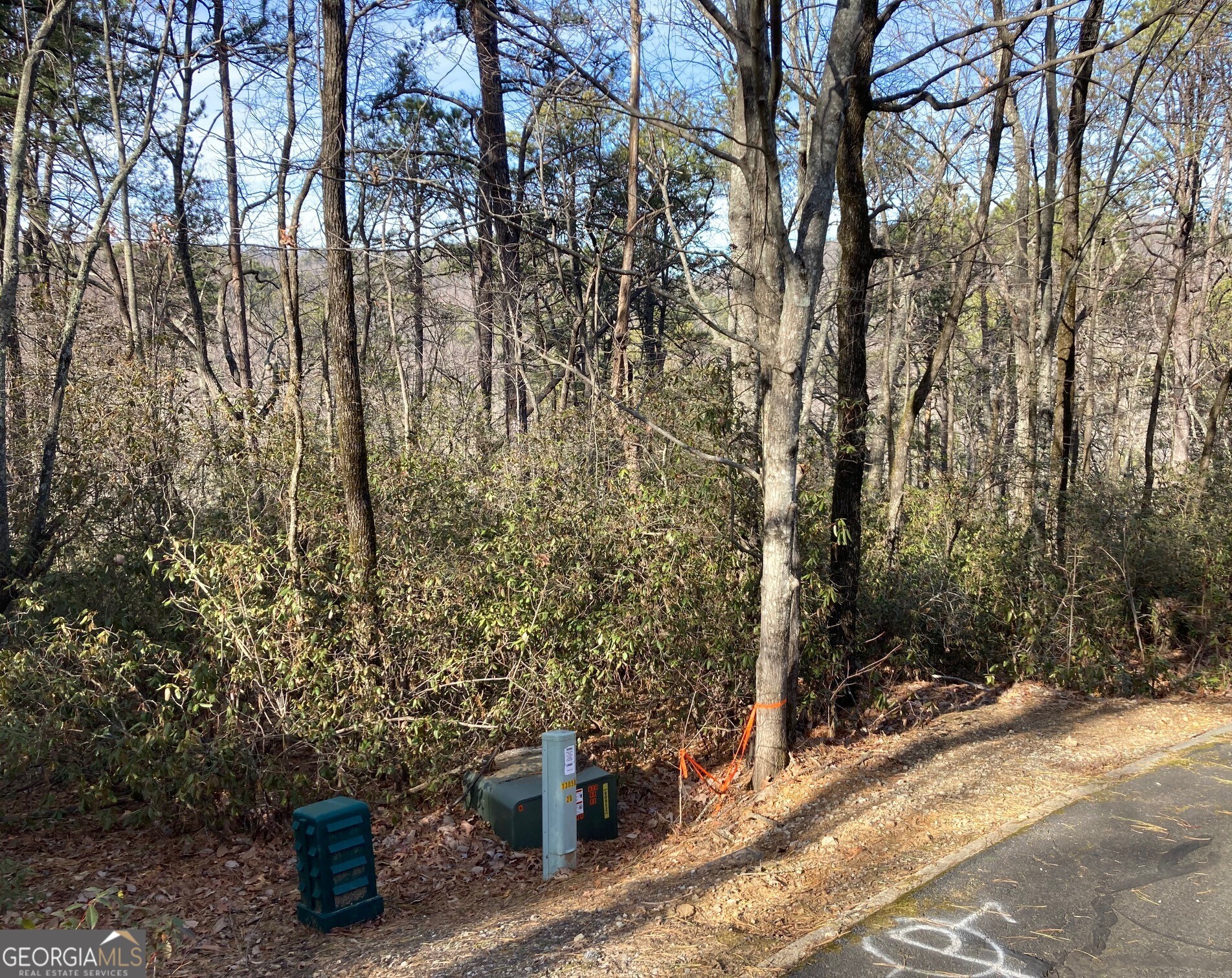 Lot 36 Whispering Dale Clarkesville, GA 30523 - Photo 4 of 10 a view of a trees with wooden fence