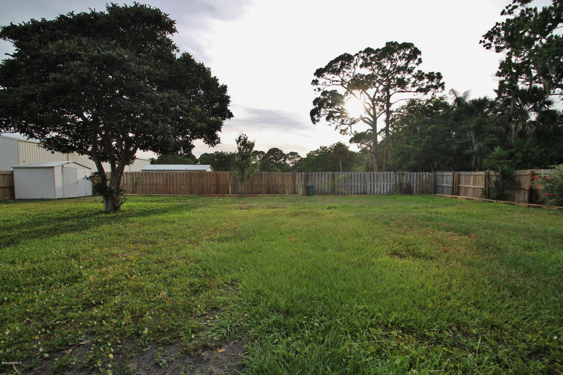 238 Capron Road Port St. John, FL 32927 - Photo 20 of 23 a view of garden with a tree