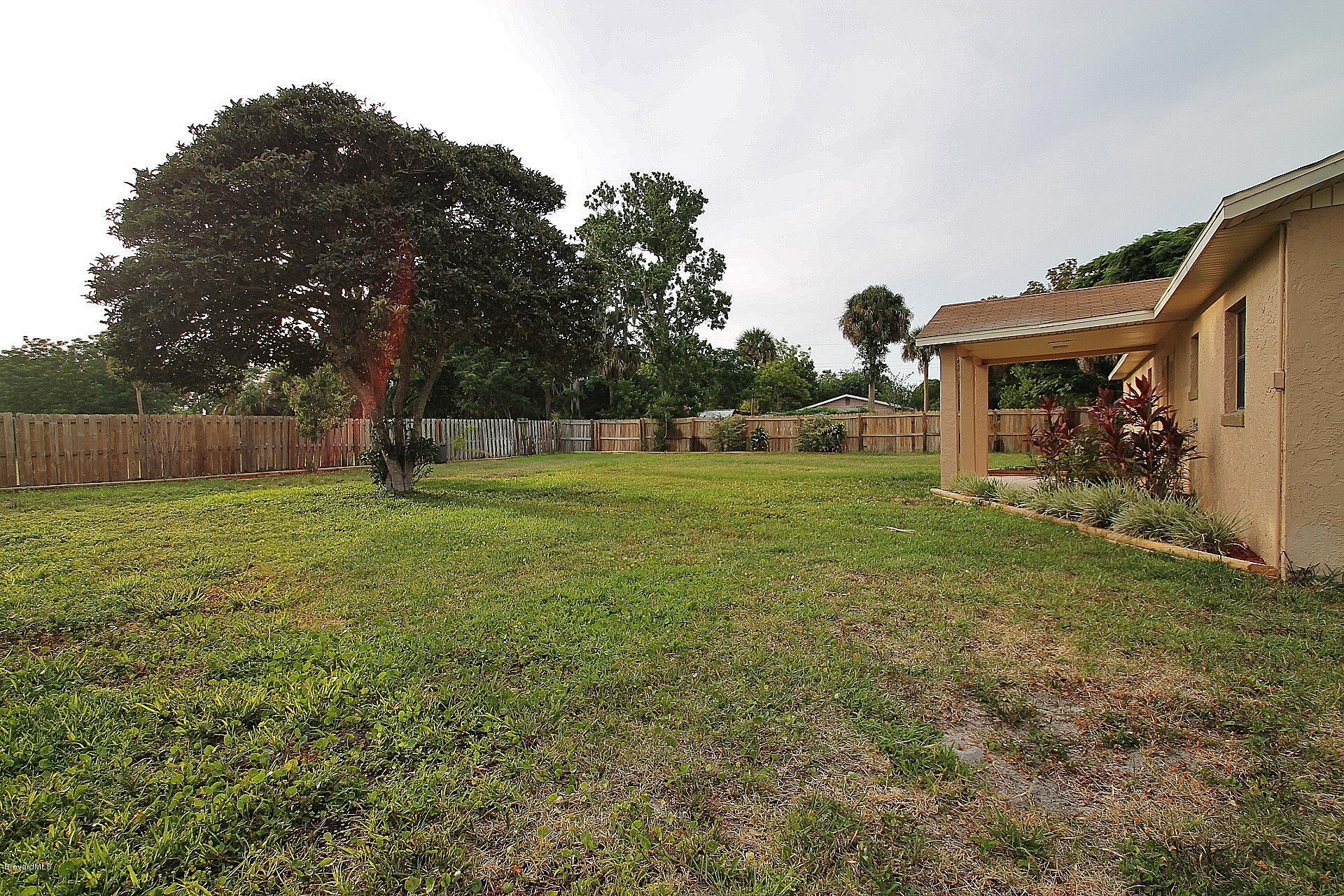238 Capron Road Port St. John, FL 32927 - Photo 21 of 23 a view of a tree in a yard