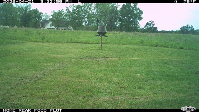 255 Pecan Way Dodson, LA 71422 - Photo 44 of 46