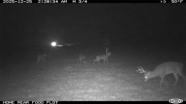 $940,000 | 255 Pecan Way, Dodson, LA 71422