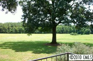 963 Pisgah Road Stony Point, NC 28678 - Photo 3 of 6 a view of a yard with a tree