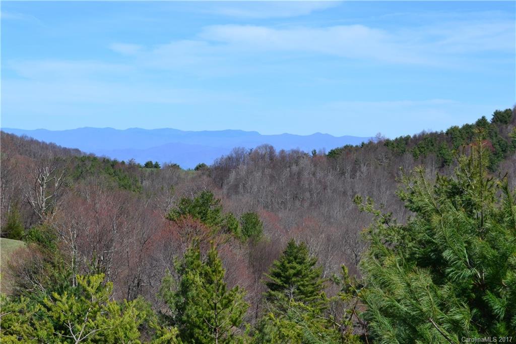 750 Doggett Road, Unit 3 Hot Springs, NC 28743 - Photo 14 of 24 Gallery Image 14