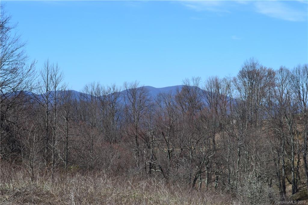 750 Doggett Road, Unit 3 Hot Springs, NC 28743 - Photo 3 of 24 Gallery Image 3