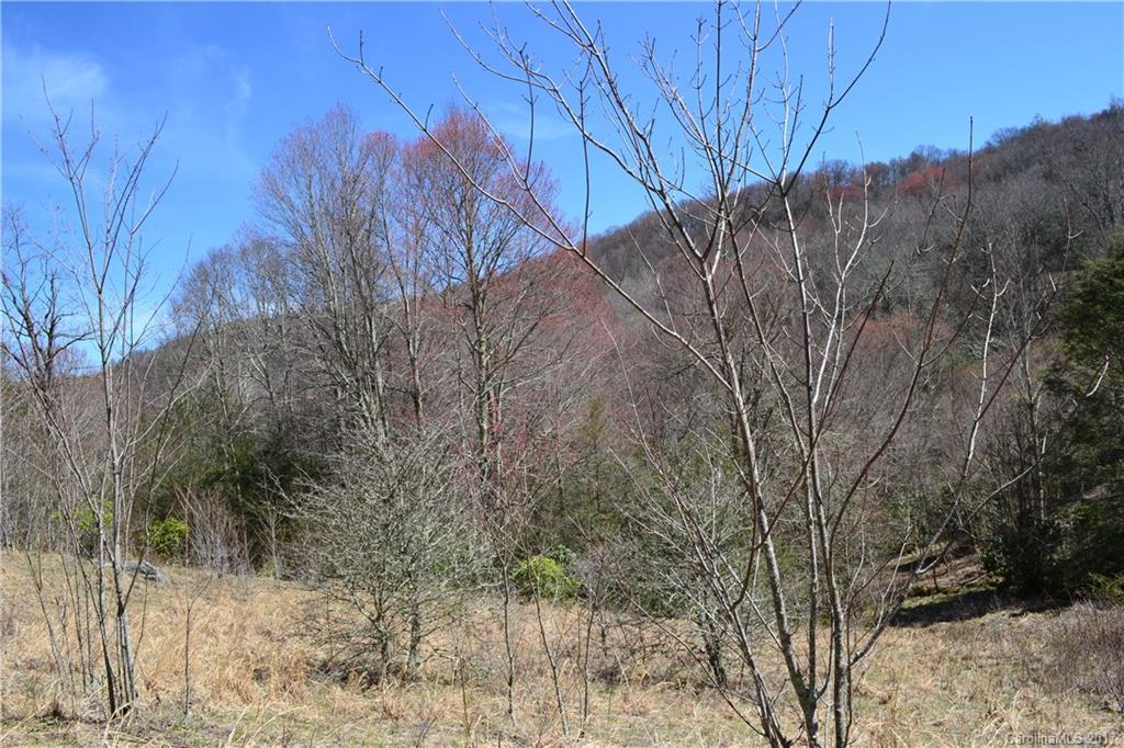 750 Doggett Road, Unit 3 Hot Springs, NC 28743 - Photo 22 of 24 Gallery Image 22