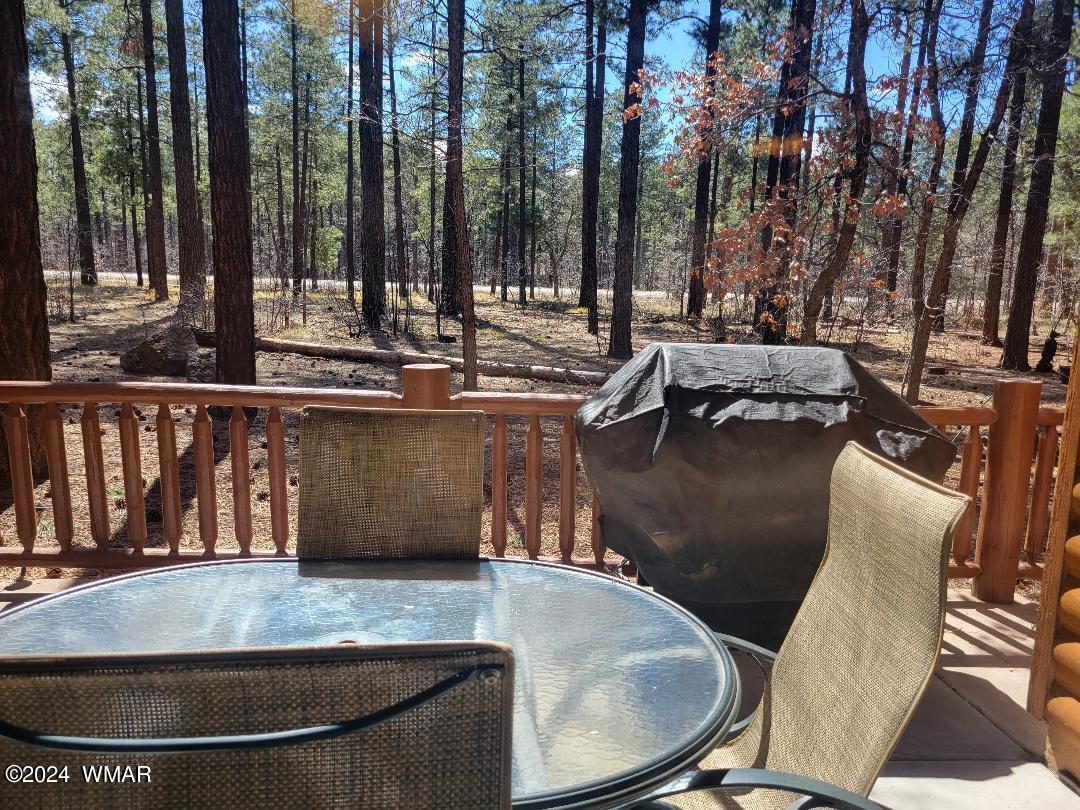 3002 Timber Line Road Pinetop, AZ 85935 - Photo 22 of 22