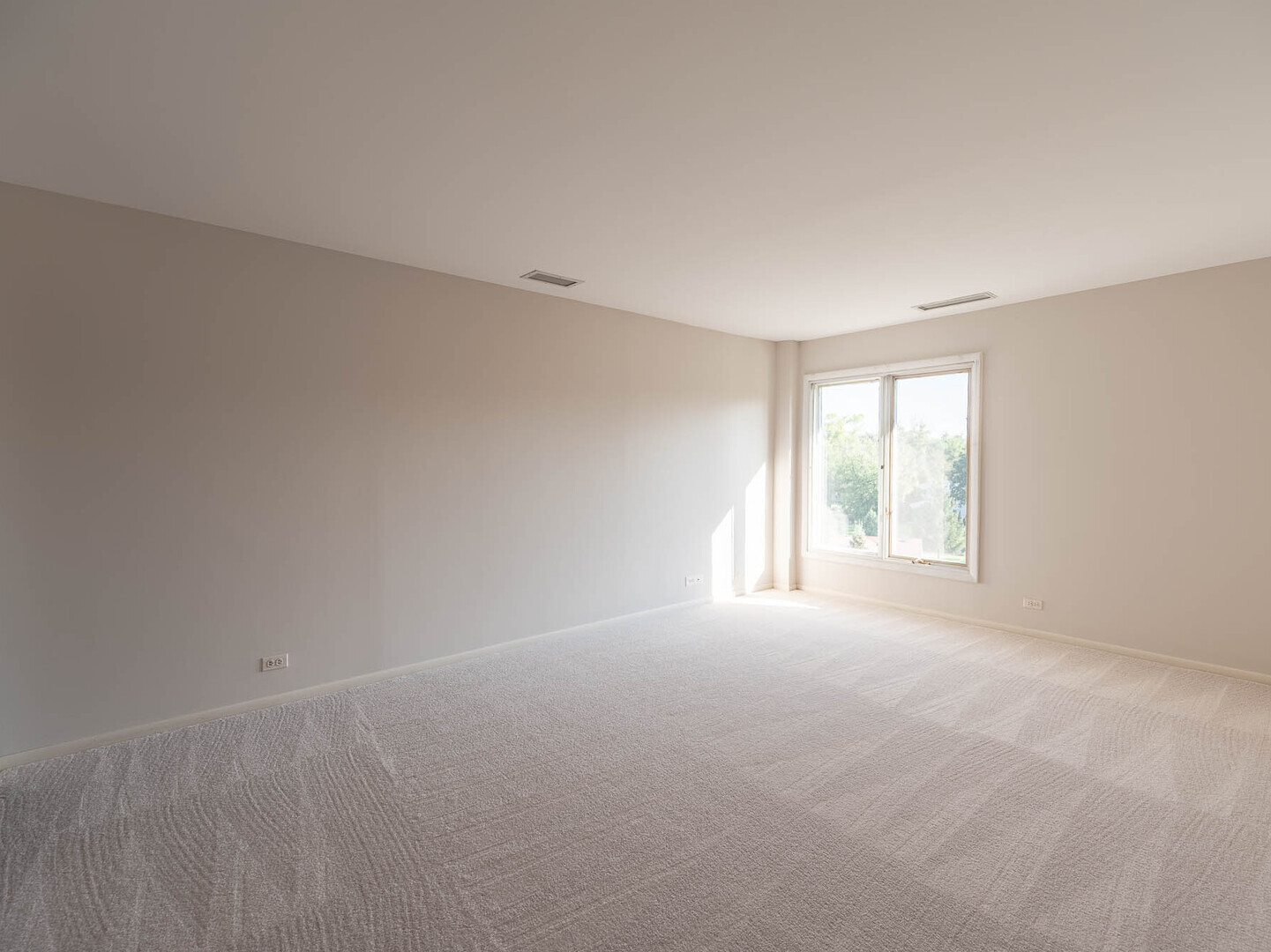 6545 Main Street, Unit 408 Downers Grove, IL 60516 - Photo 11 of 13 an empty room with windows