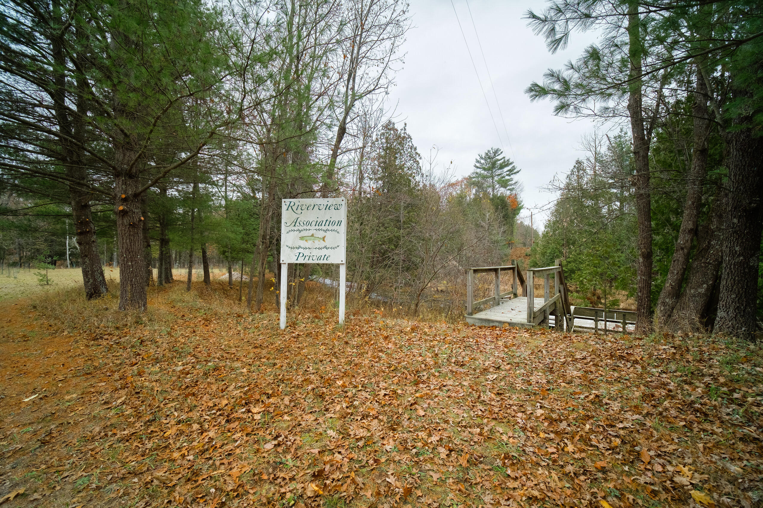 8161 Hunters Ridge Drive Irons, MI 49644 - Photo 13 of 37 Rights to association river access