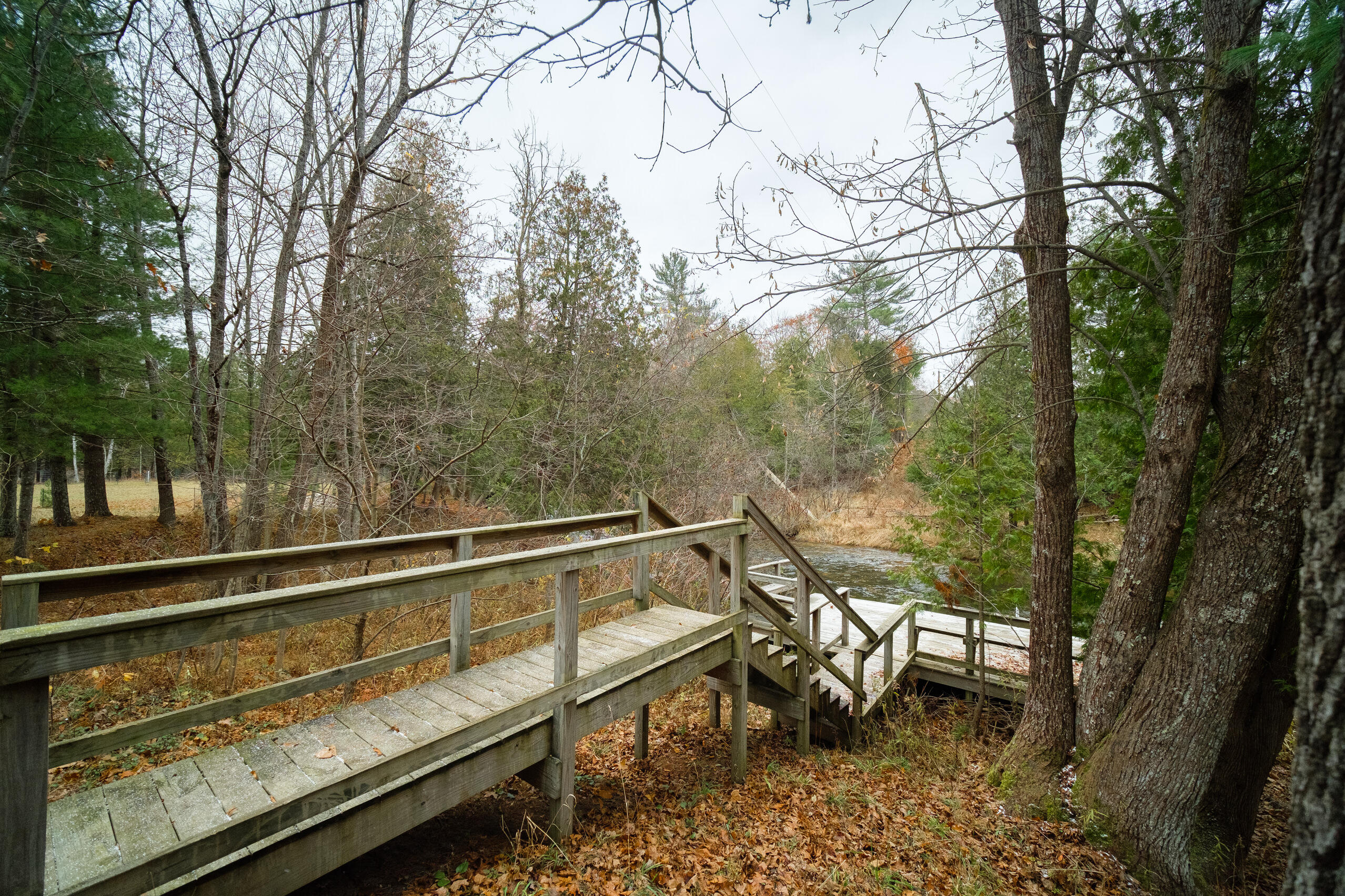 8161 Hunters Ridge Drive Irons, MI 49644 - Photo 14 of 37 Your path for Little Manistee access