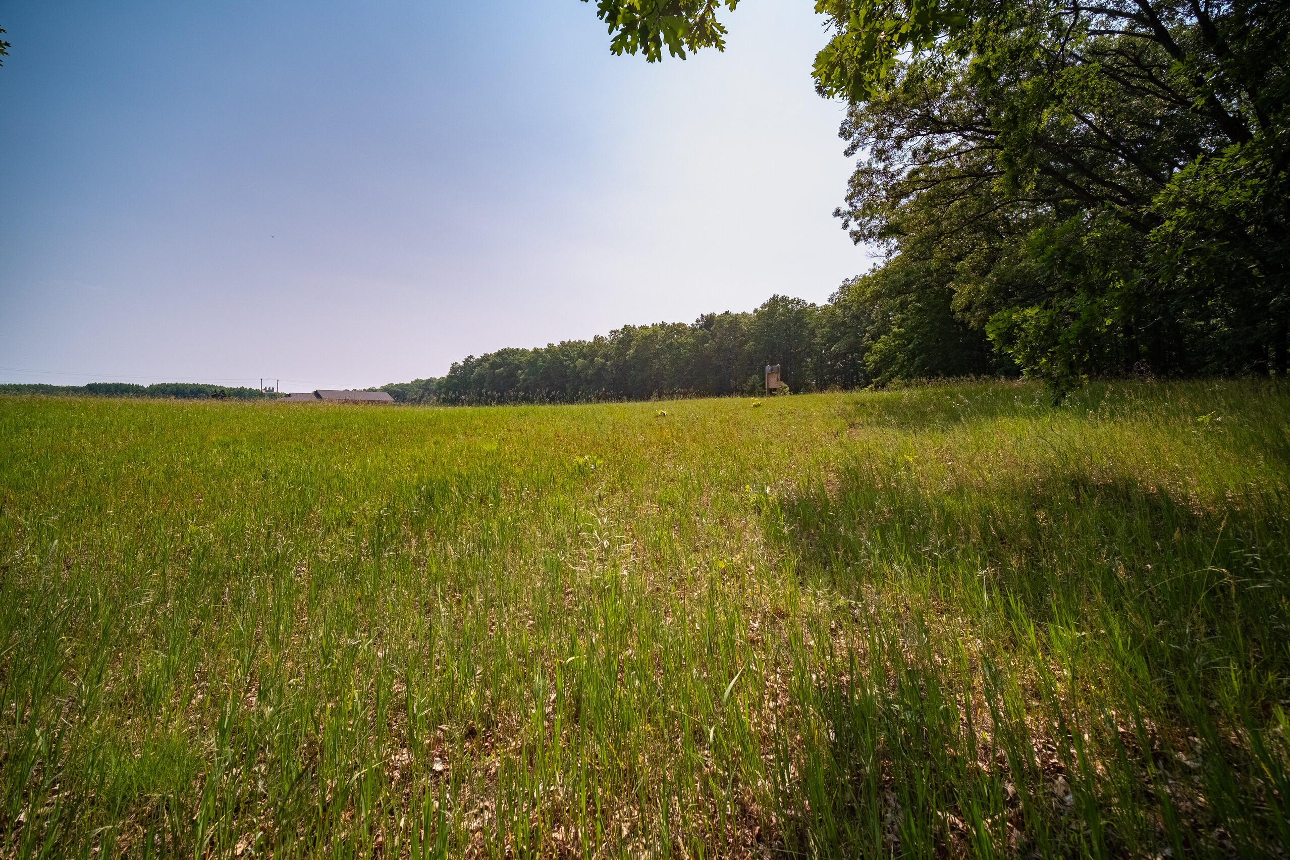 8161 Hunters Ridge Drive Irons, MI 49644 - Photo 19 of 37 Additional Views