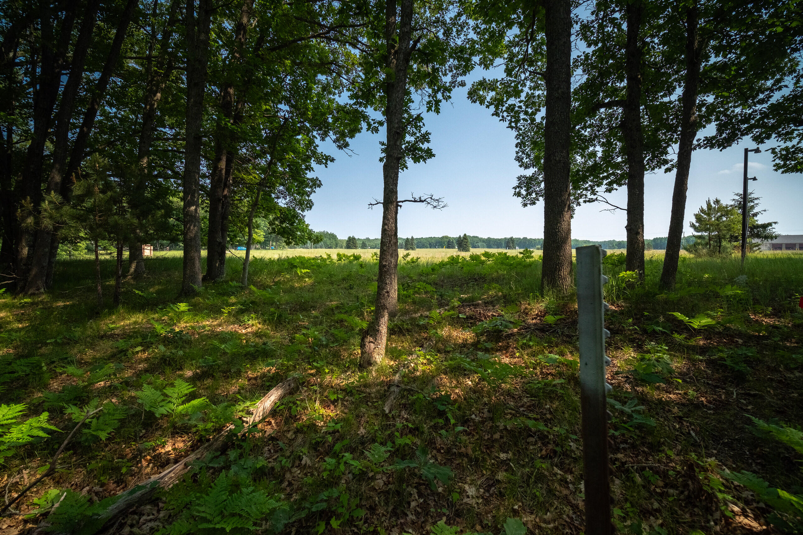 8161 Hunters Ridge Drive Irons, MI 49644 - Photo 20 of 37 Additional Views