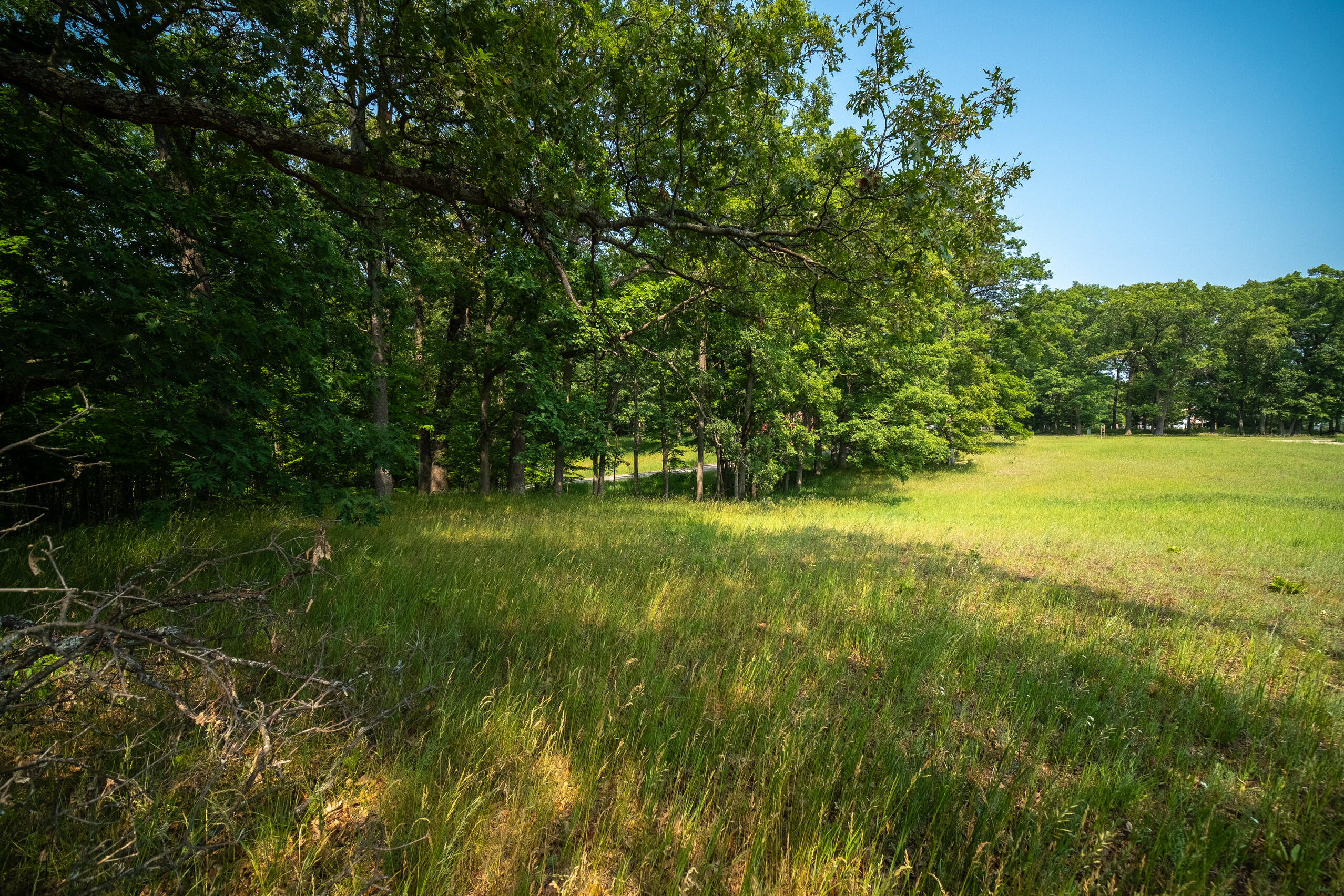 8161 Hunters Ridge Drive Irons, MI 49644 - Photo 24 of 37 Additional Views