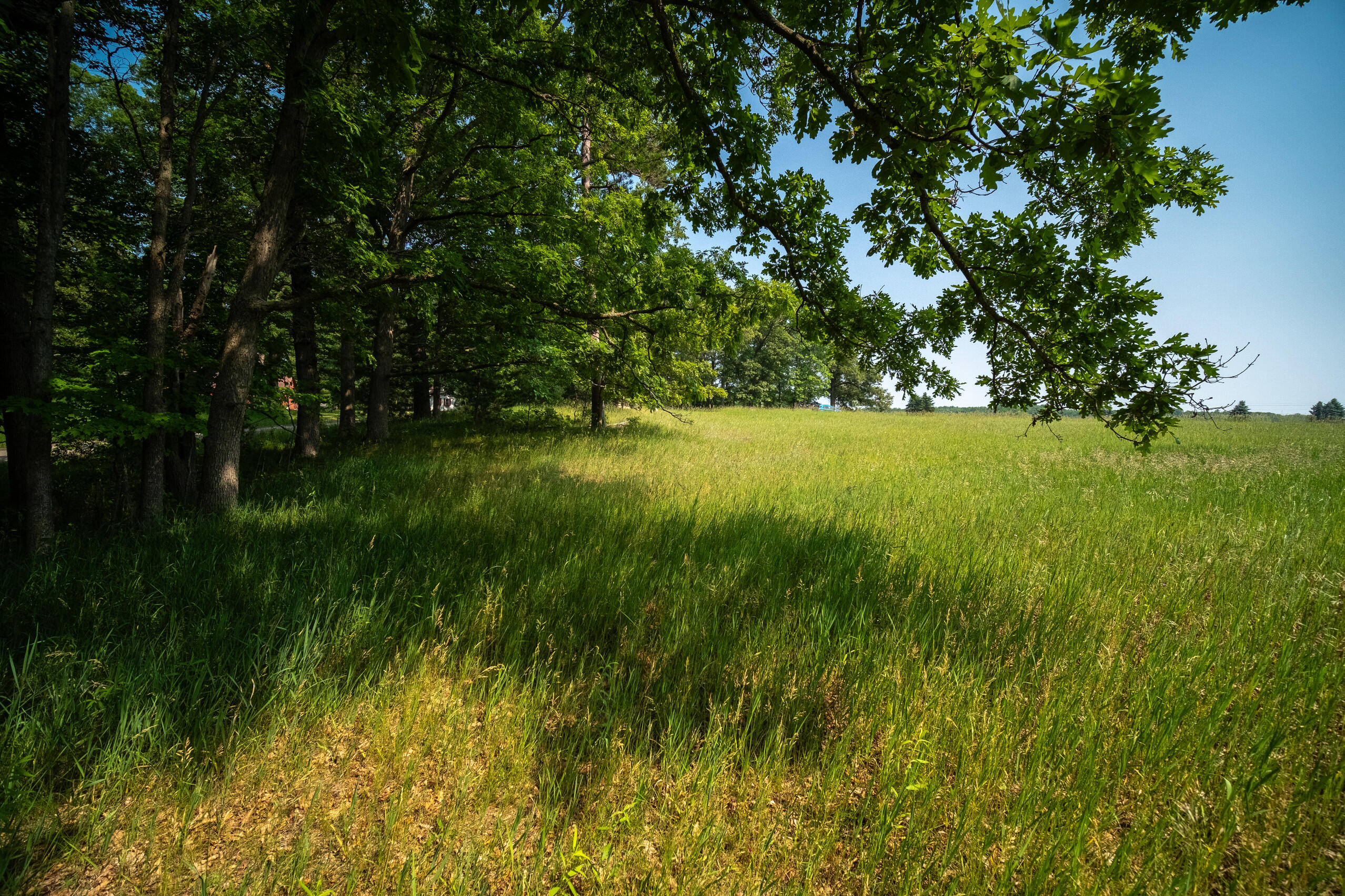8161 Hunters Ridge Drive Irons, MI 49644 - Photo 26 of 37 Additional Views