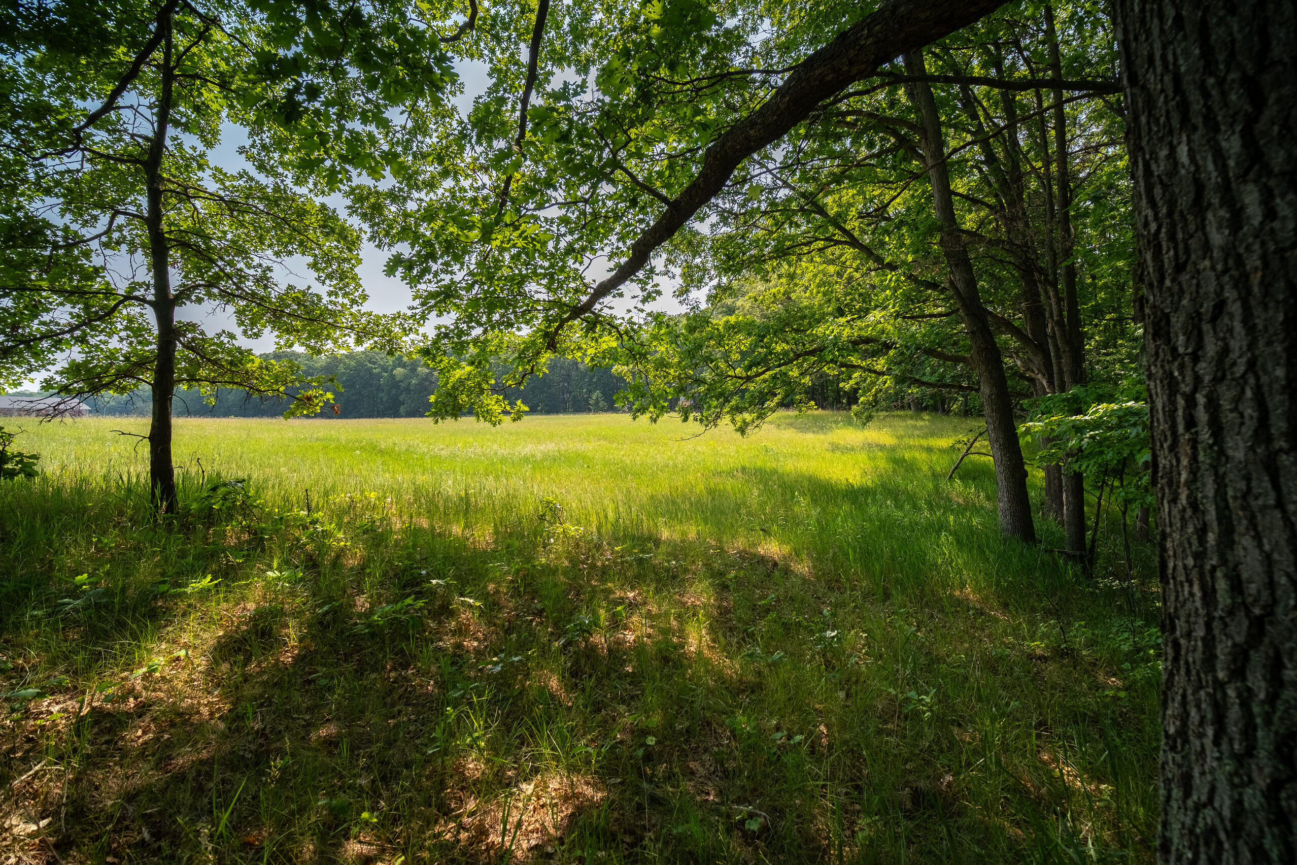 8161 Hunters Ridge Drive Irons, MI 49644 - Photo 28 of 37 Additional Views