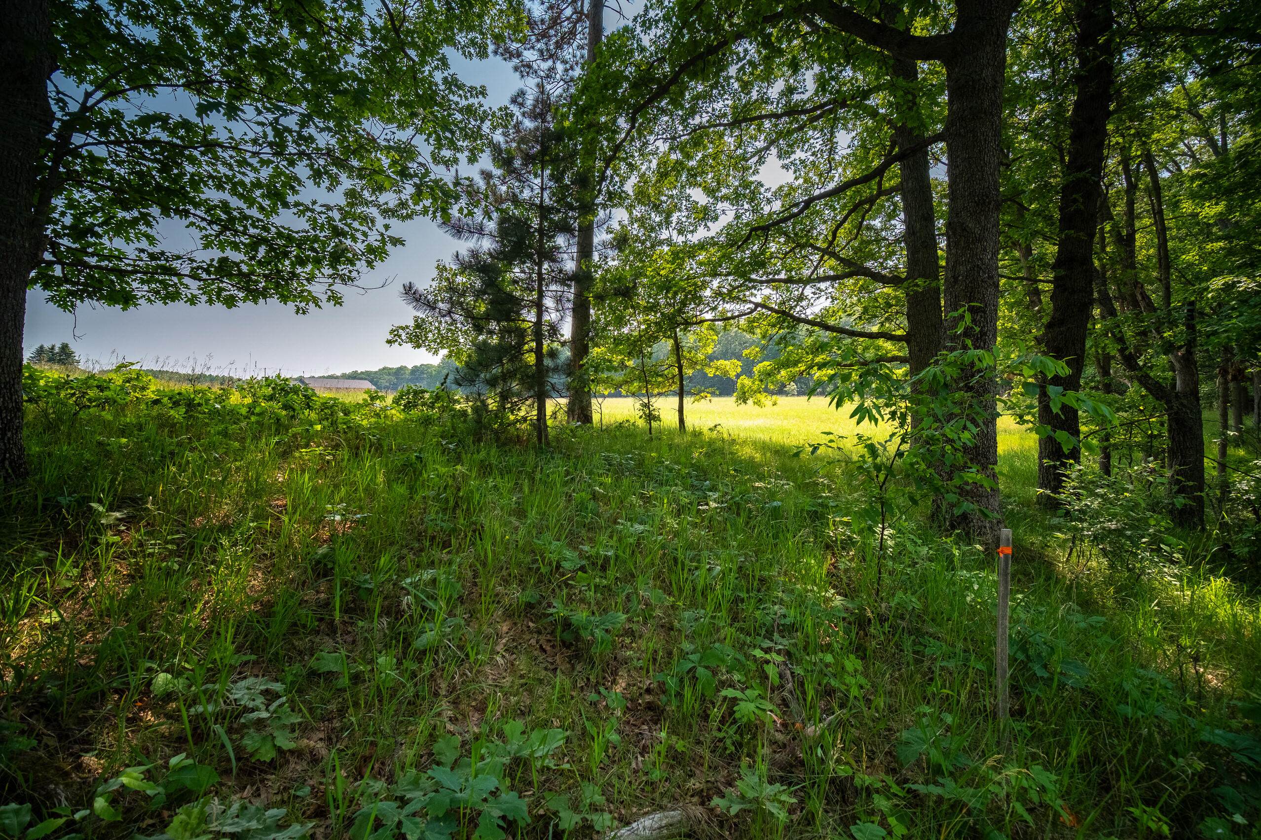 8161 Hunters Ridge Drive Irons, MI 49644 - Photo 29 of 37 Additional Views