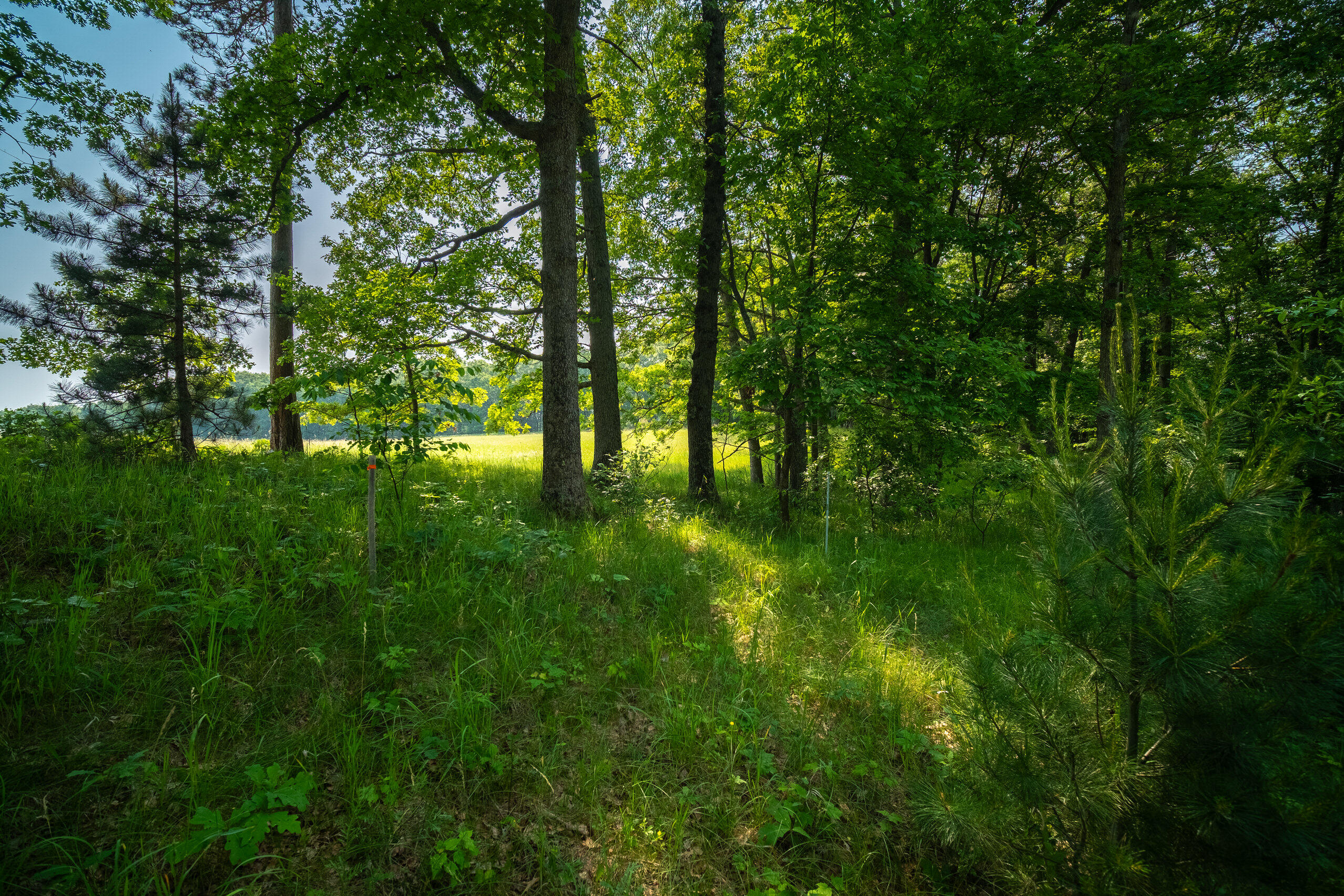 8161 Hunters Ridge Drive Irons, MI 49644 - Photo 31 of 37 Additional Views