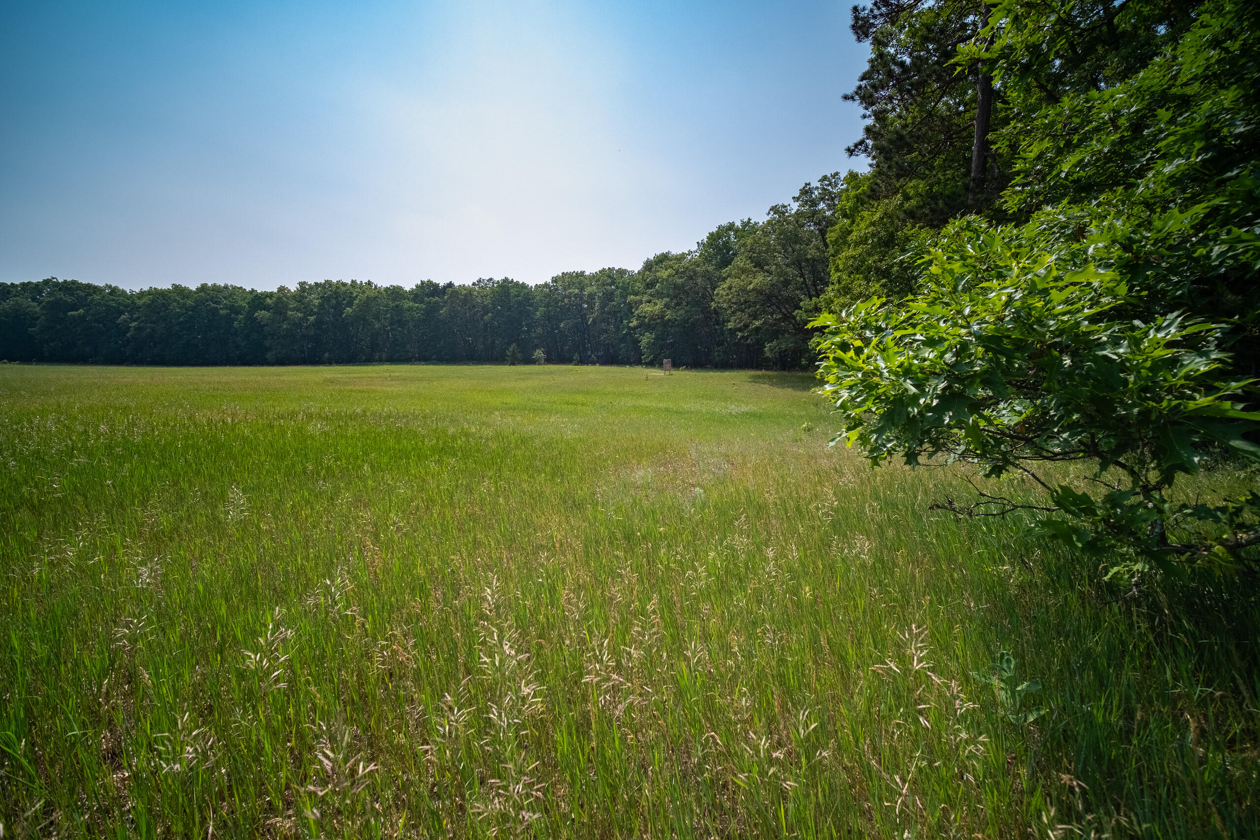 8161 Hunters Ridge Drive Irons, MI 49644 - Photo 4 of 37 Woods and walk-out potential