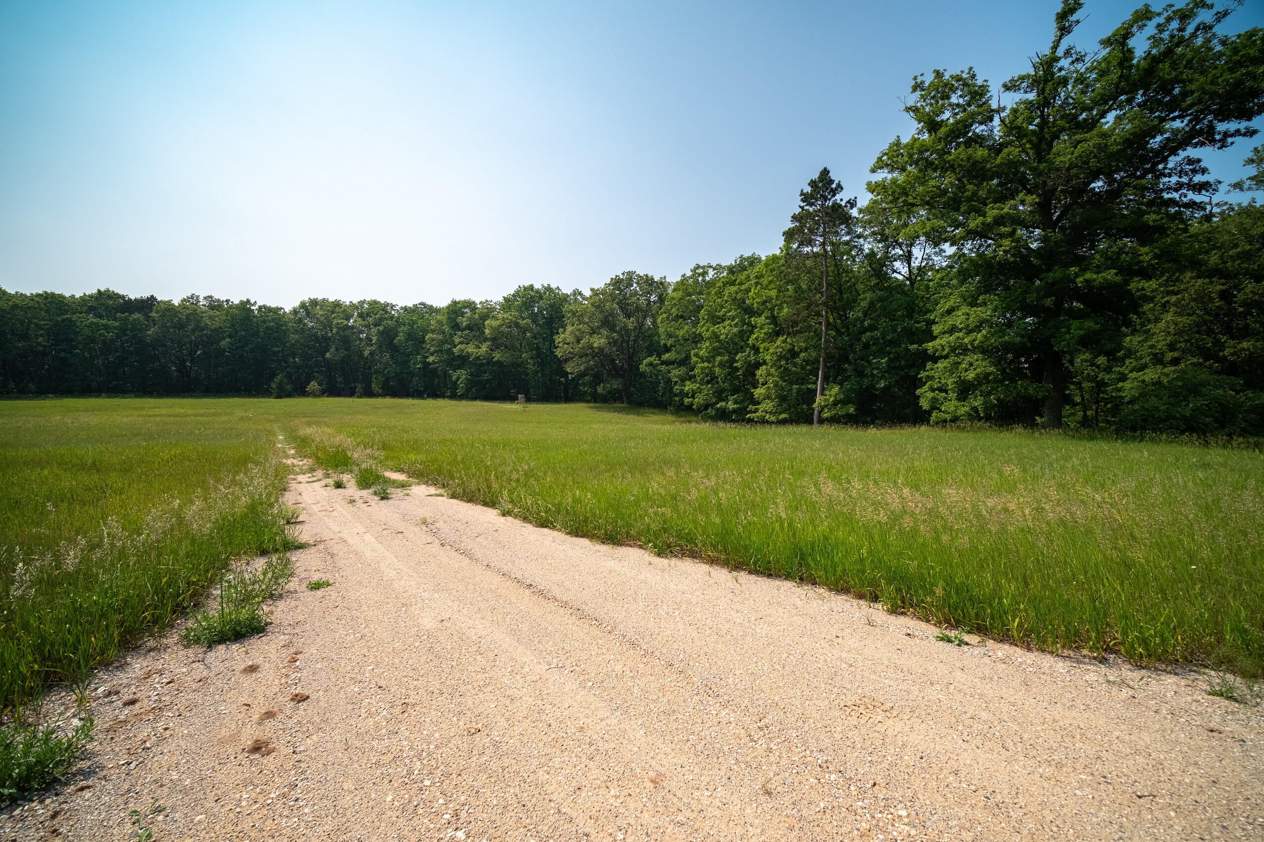 8161 Hunters Ridge Drive Irons, MI 49644 - Photo 8 of 37 Drive onto property