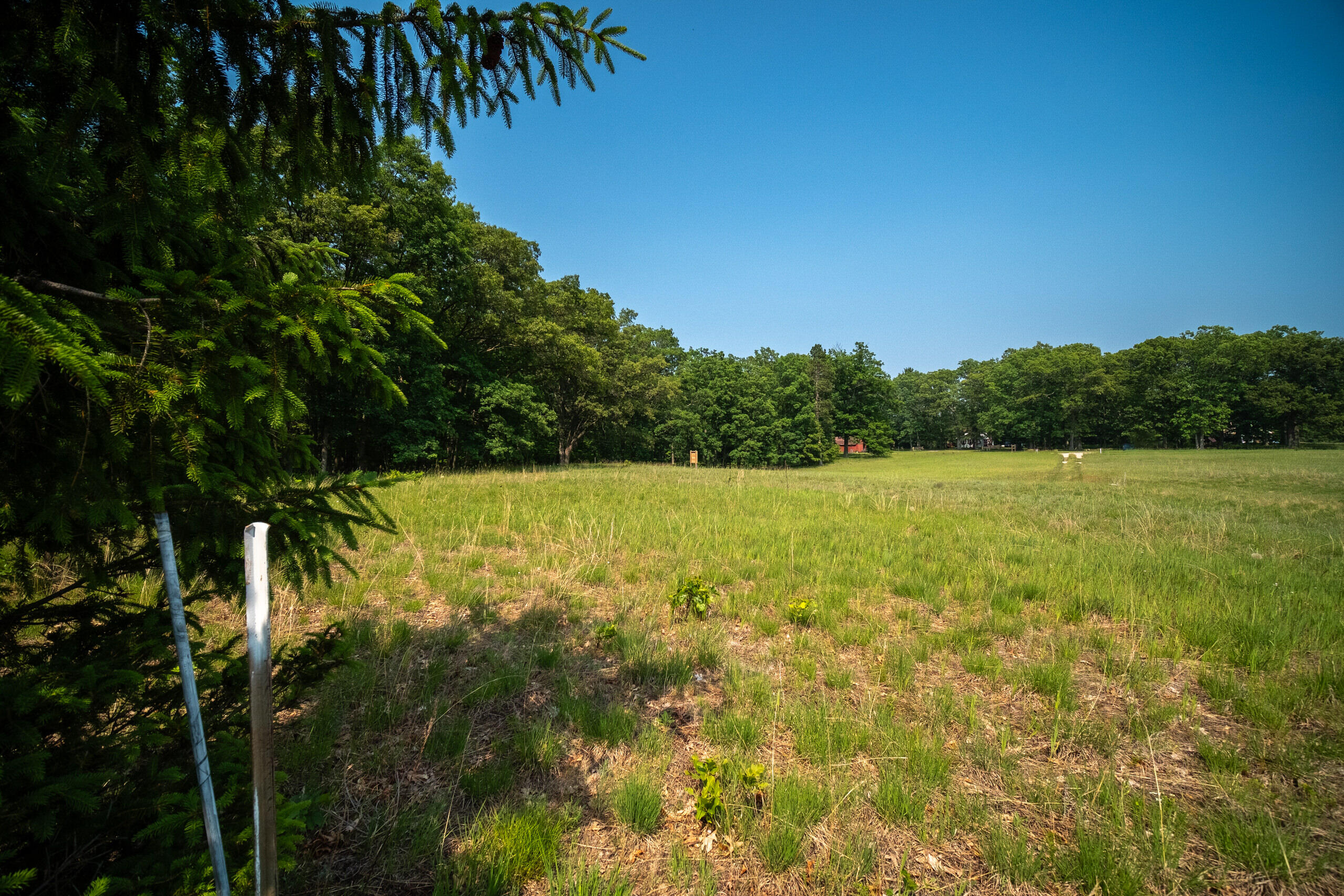 8161 Hunters Ridge Drive Irons, MI 49644 - Photo 10 of 37 Nice level building site