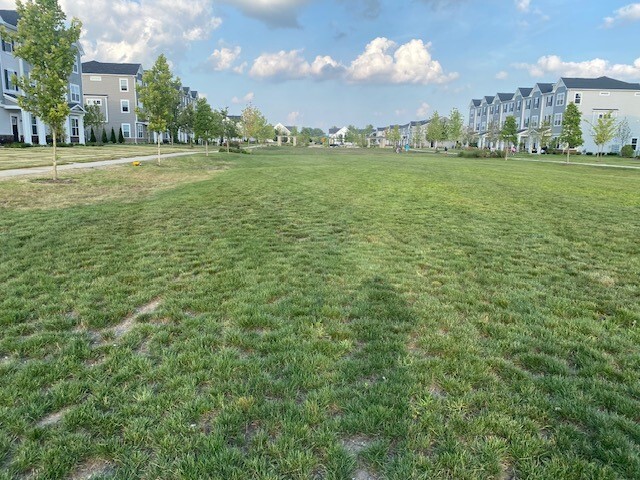 4515 Chelsea Mnr Circle, Unit 4515 Aurora, IL 60504 - Photo 36 of 37