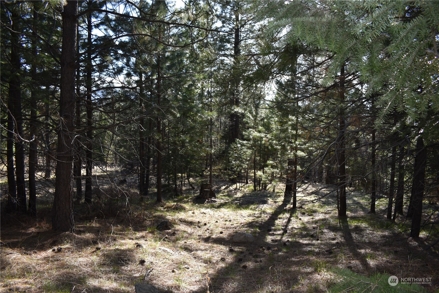 100 Lone Pine Trail Riverside, WA 98849 - Photo 25 of 37 a view of a tree