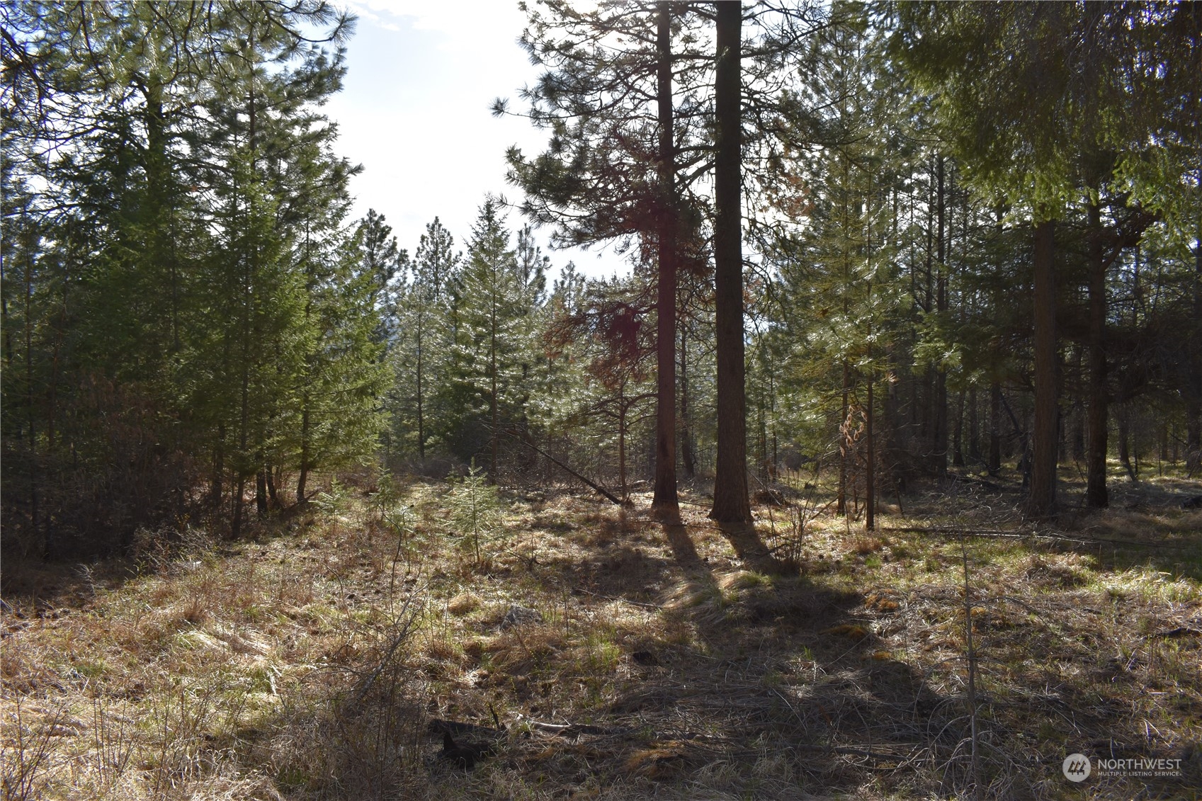 100 Lone Pine Trail Riverside, WA 98849 - Photo 33 of 37 a view of outdoor space with trees