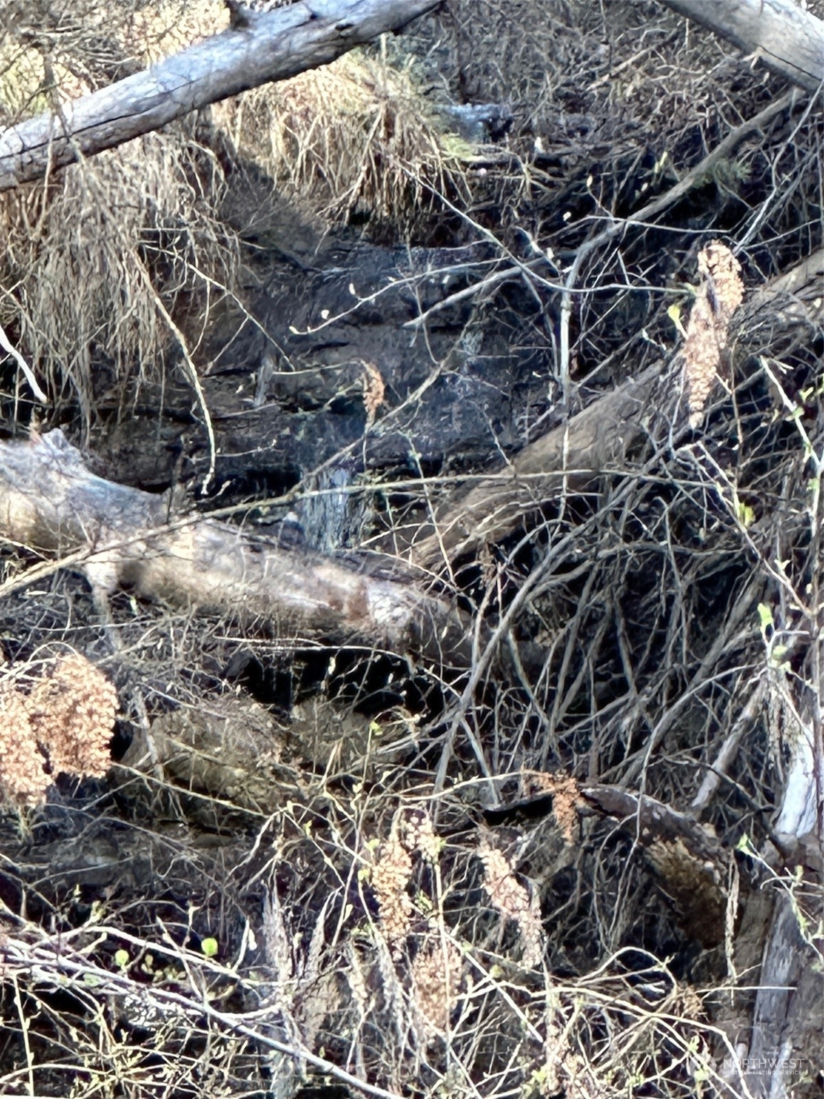 100 Lone Pine Trail Riverside, WA 98849 - Photo 37 of 37