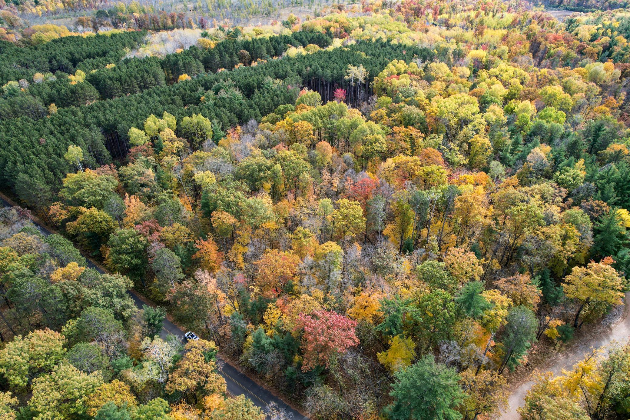 Tbd Windy Ridge Road Brainerd, MN 56401 - Photo 1 of 1 Gallery Image 1