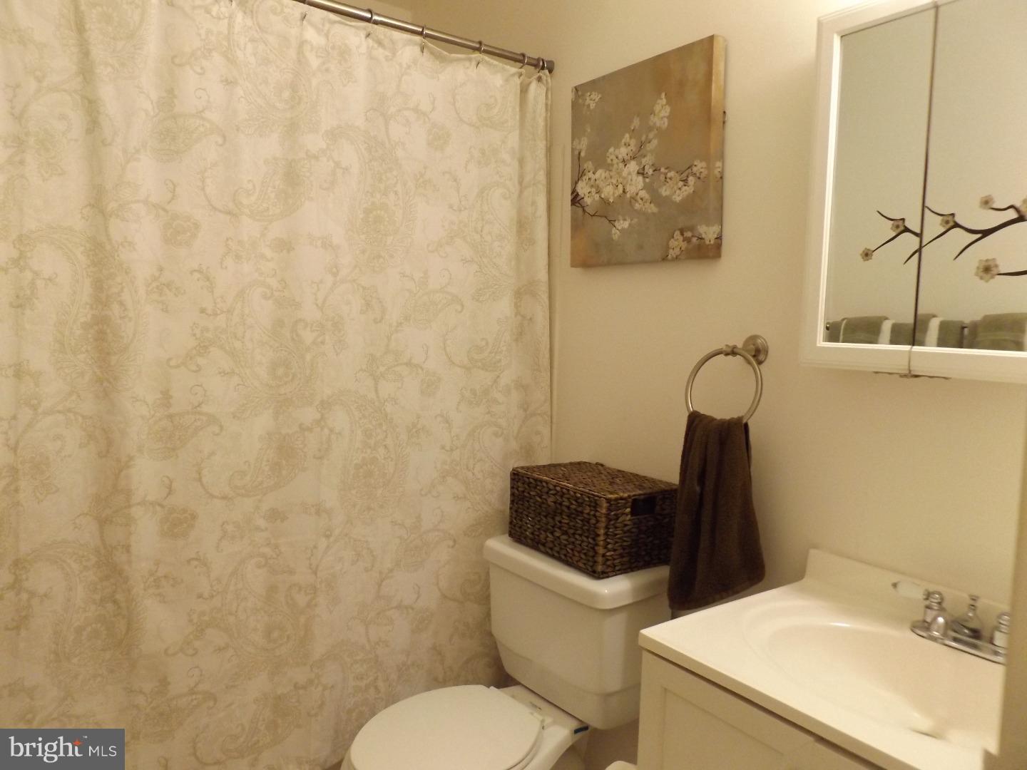 200 Campbell Circle, Unit E14 Downingtown, PA 19335 - Photo 14 of 20 Bathroom