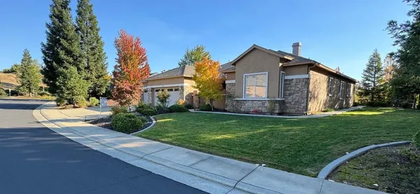 a view of a house with yard and plants