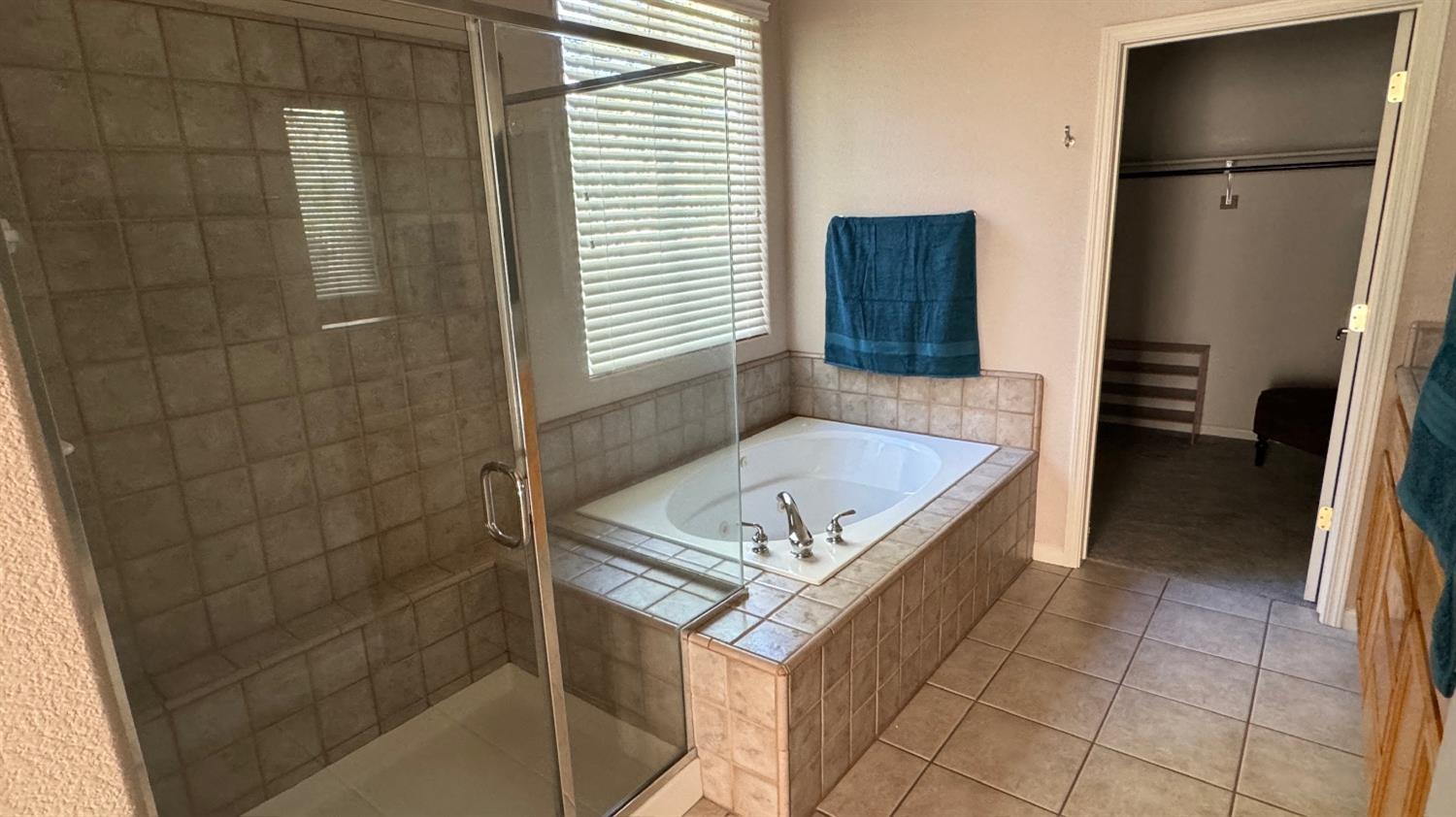 121 Quail Meadow Lane Copperopolis, CA 95228 - Photo 10 of 24 a bathroom with a tub a sink and a shower