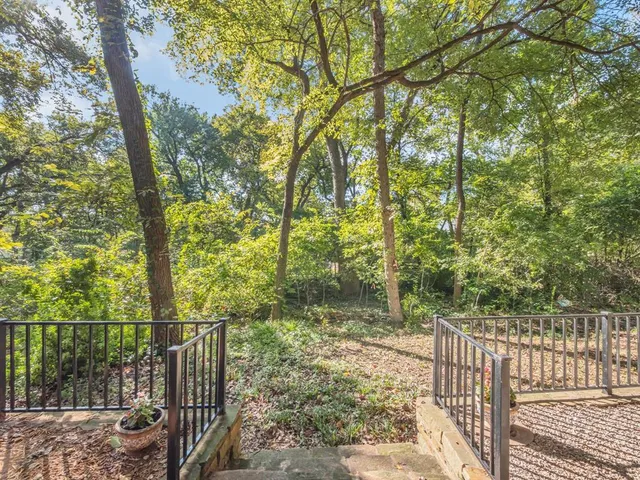 a view of a yard with large trees
