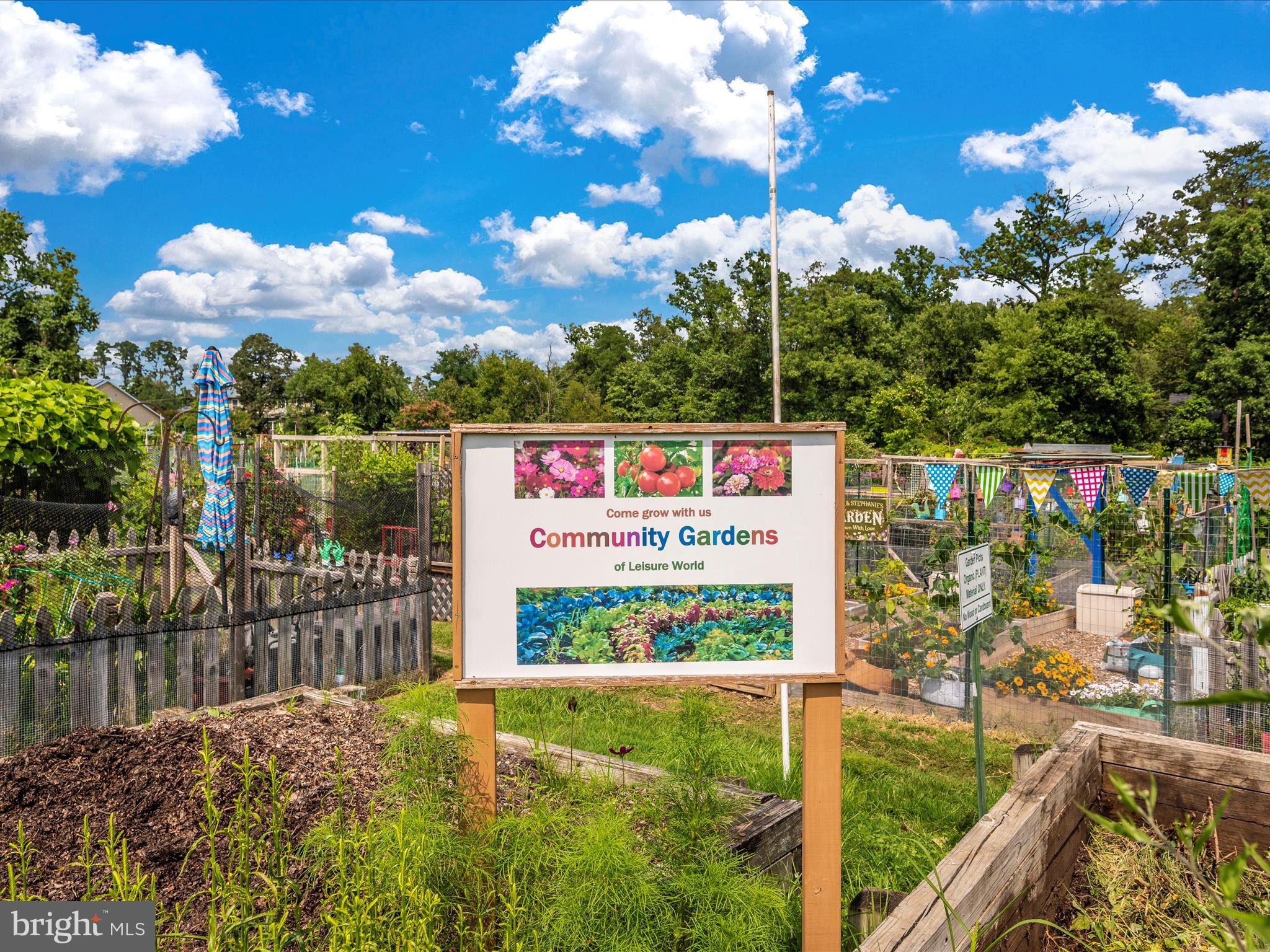 14809 Pennfield Circle, Unit 402 Silver Spring, MD 20906 - Photo 45 of 59 a view of outdoor space with garden