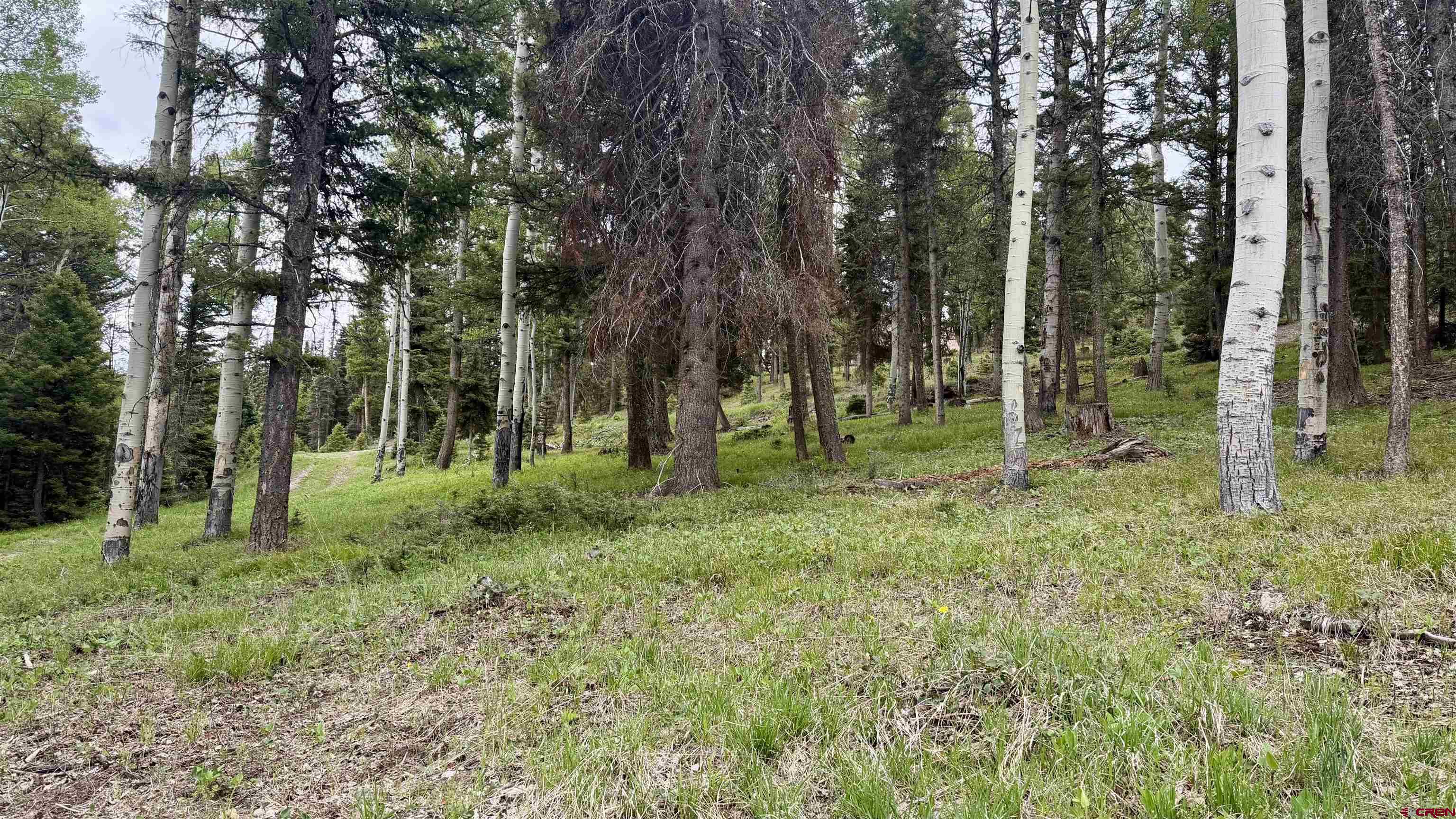455 Ute Road Cimarron, CO 81220 - Photo 1 of 3