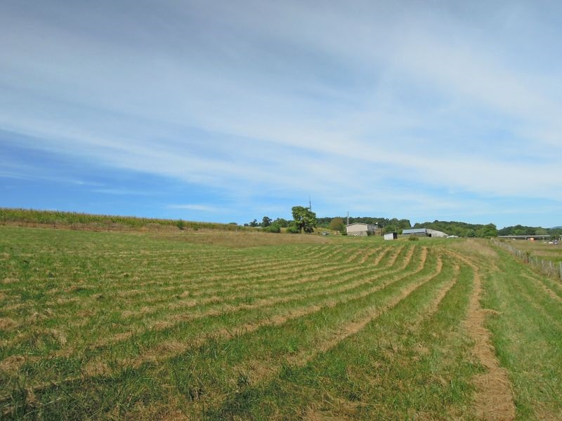 781 Concord Church Road Timberville, VA 22853 - Photo 2 of 18 a view of an ocean and beach