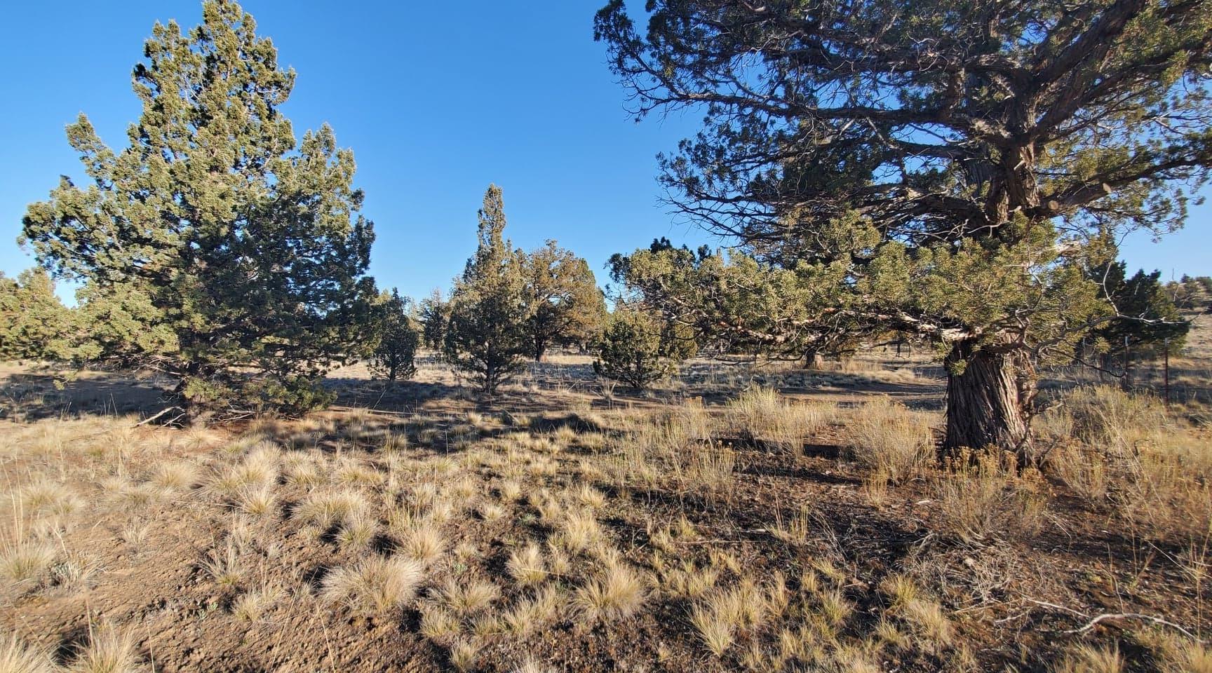 Southeast Huron Road Prineville, OR 97754 - Photo 25 of 25 25