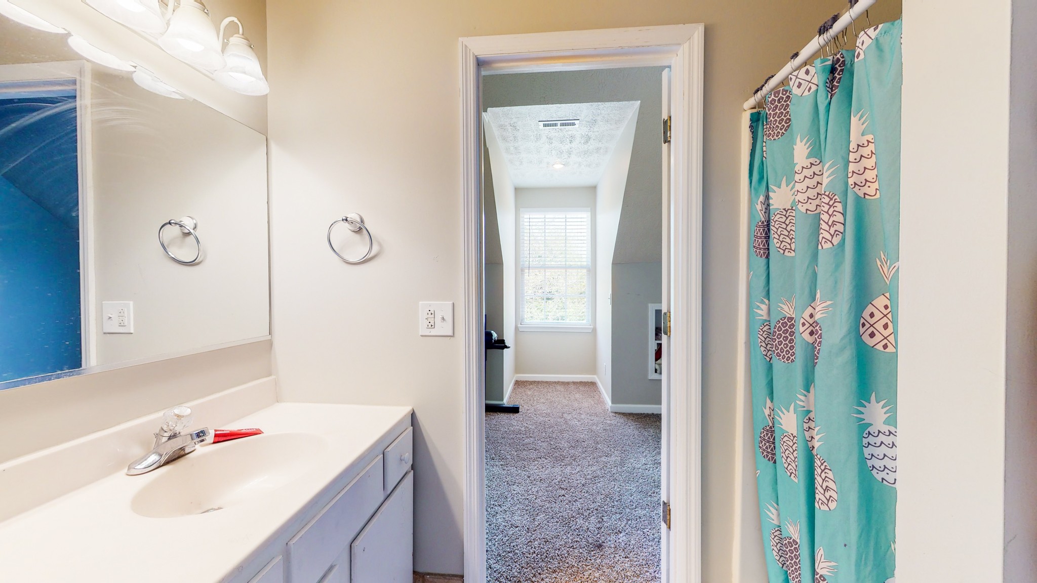 3718 Maple Lane Murfreesboro, TN 37129 - Photo 20 of 30 a bathroom with a sink and a mirror