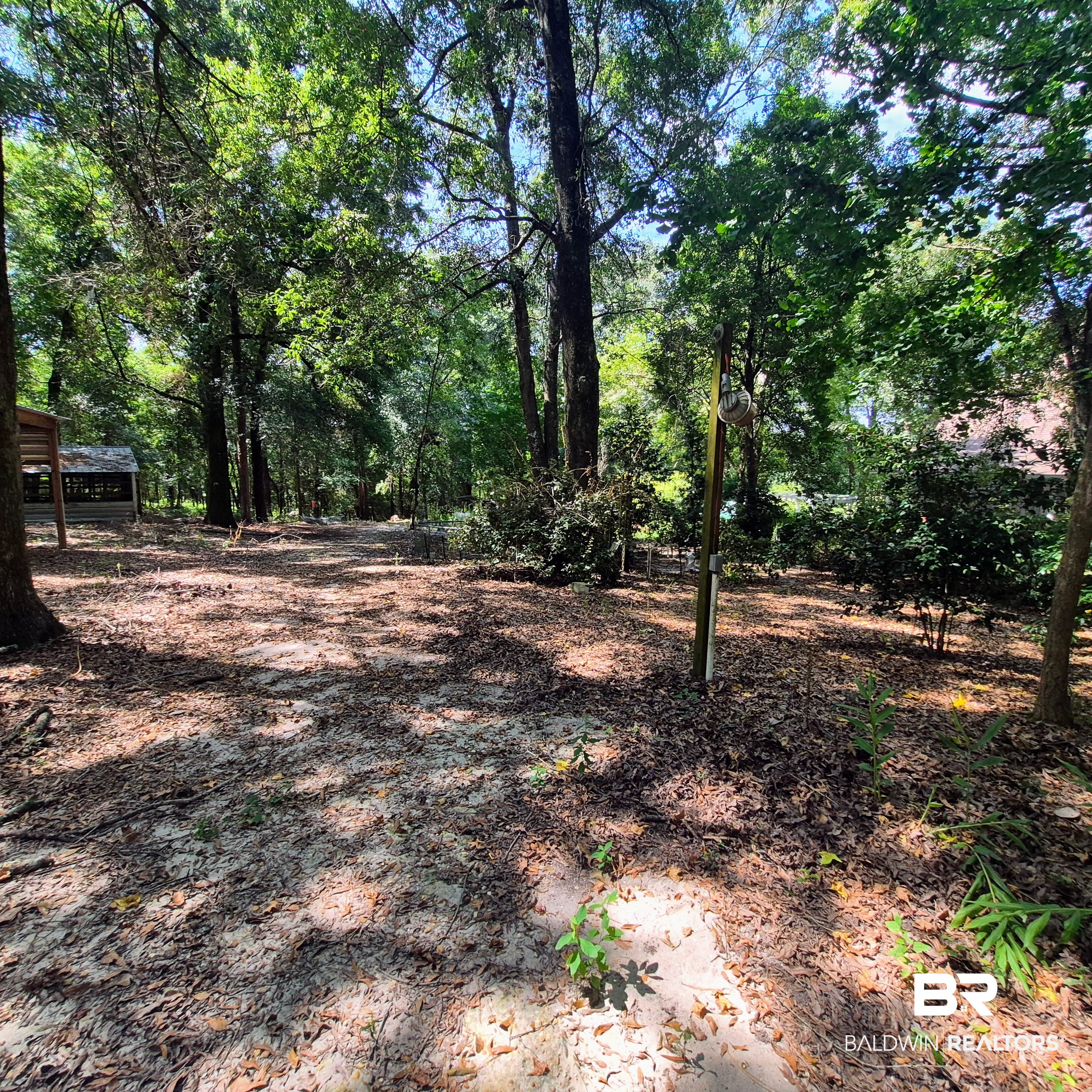 28080 Jim Foshee Road Red Level, AL 36474 - Photo 43 of 54 Gallery Image 43