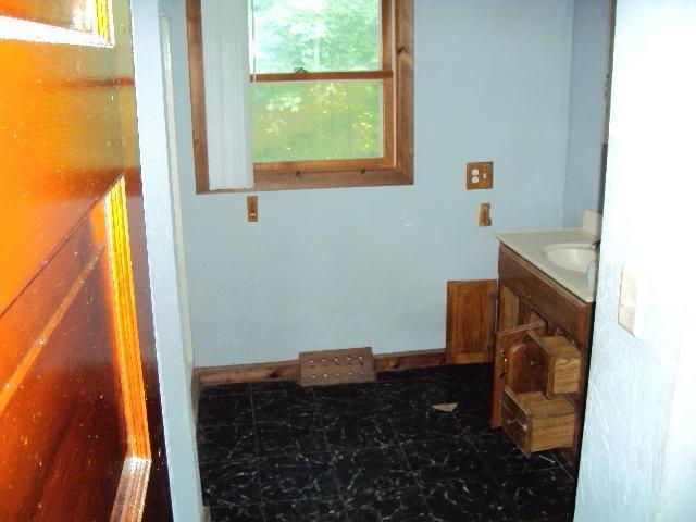 1331 Rynearson Street Buchanan, MI 49107 - Photo 4 of 5 Additional Photo