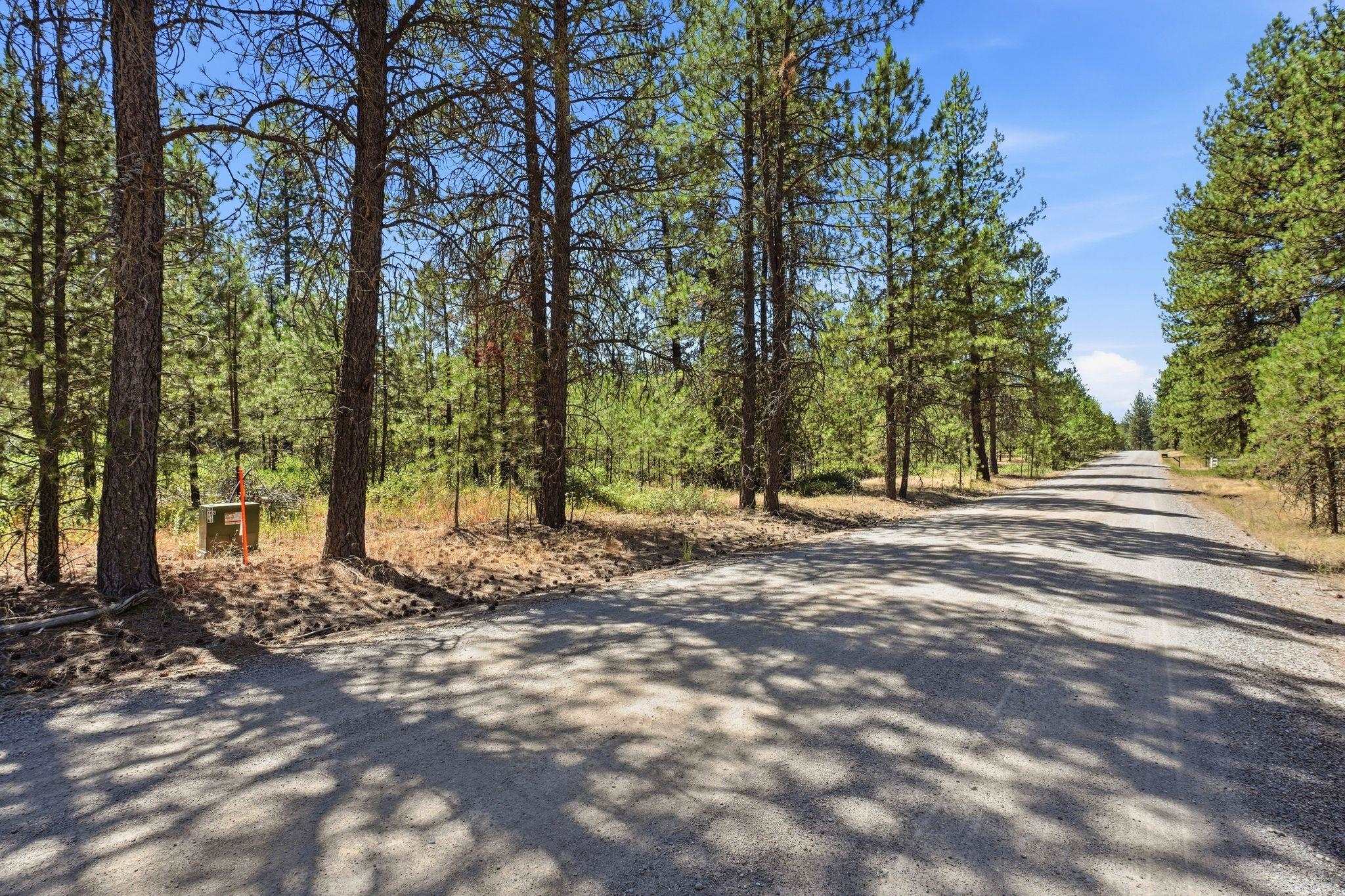 0 East Owens Road Chattaroy, WA 99003 - Photo 2 of 17