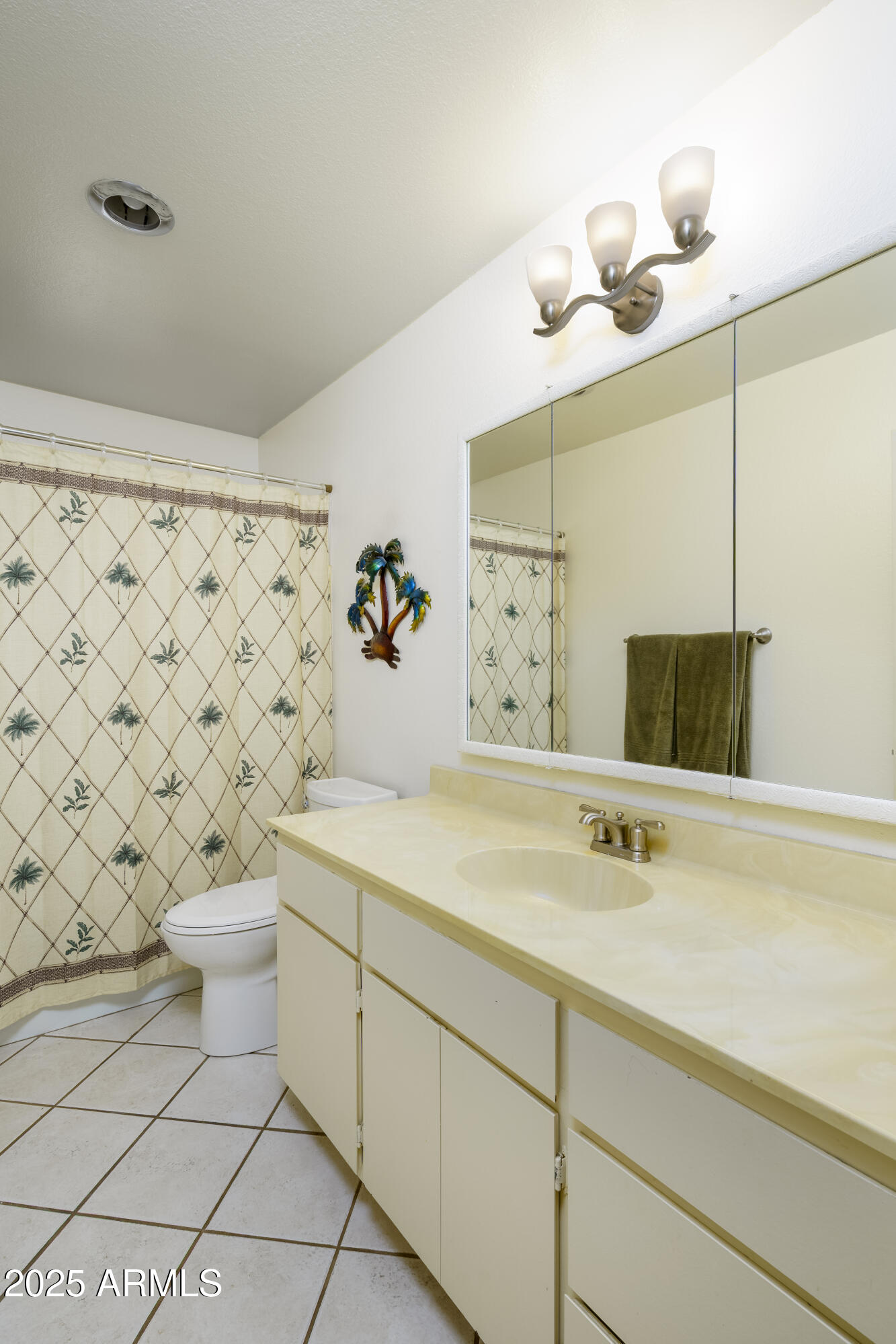 518 South Racine Mesa, AZ 85206 - Photo 19 of 24 a bathroom with a sink a toilet and a mirror